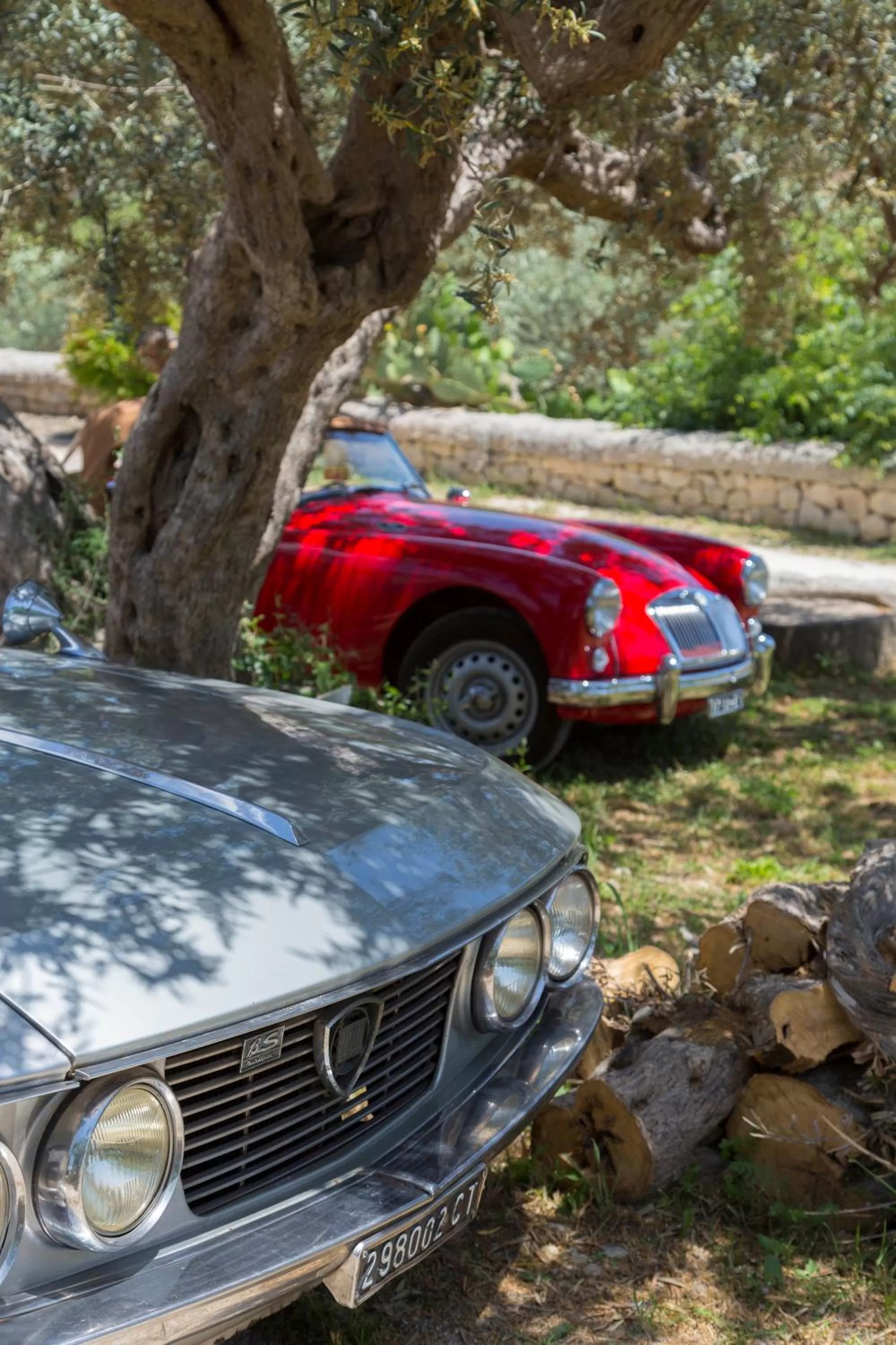 Day in Masseria Fortificata Lo Zafferaneto