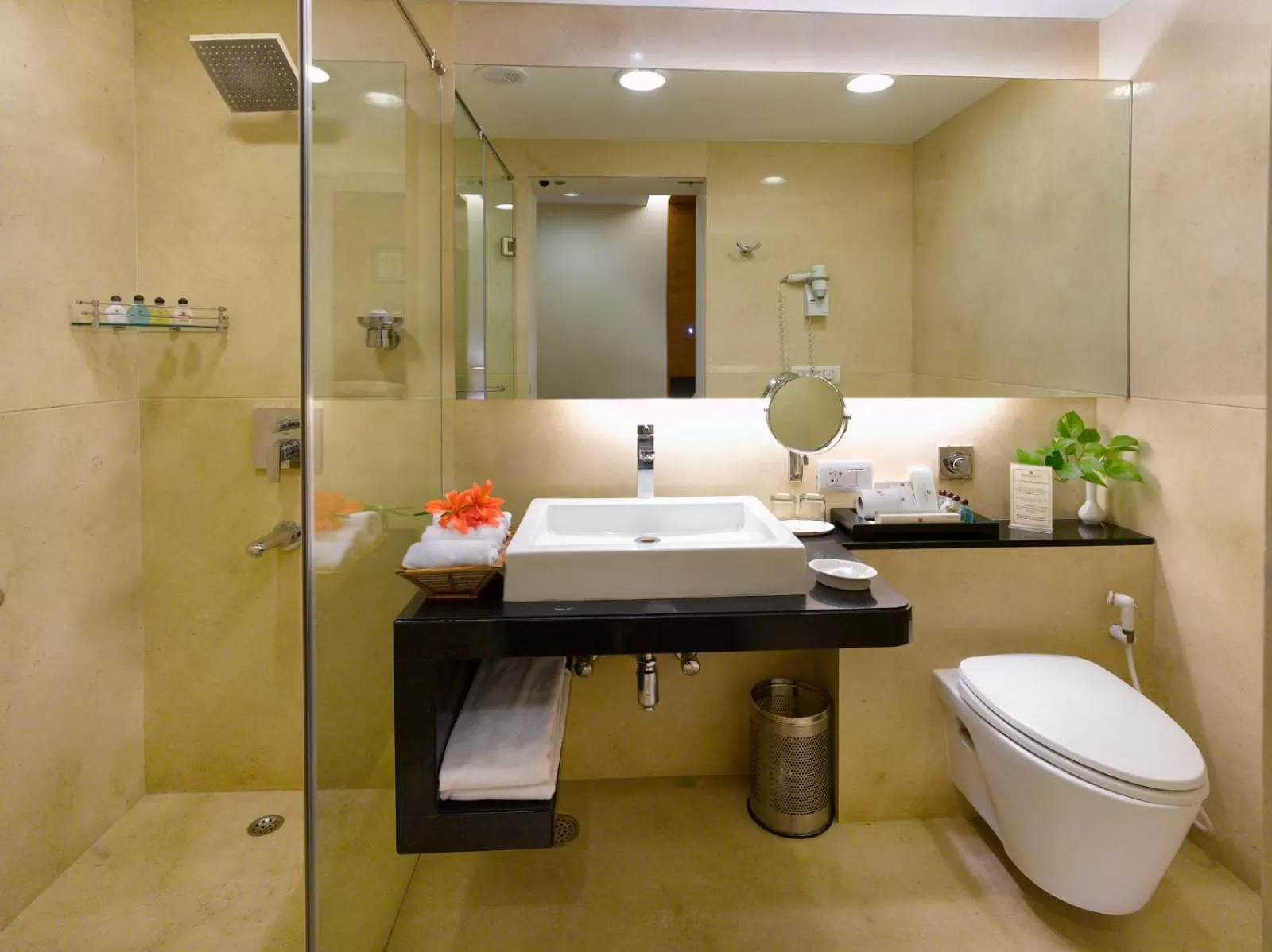 Shower in Kenilworth Hotel, Kolkata