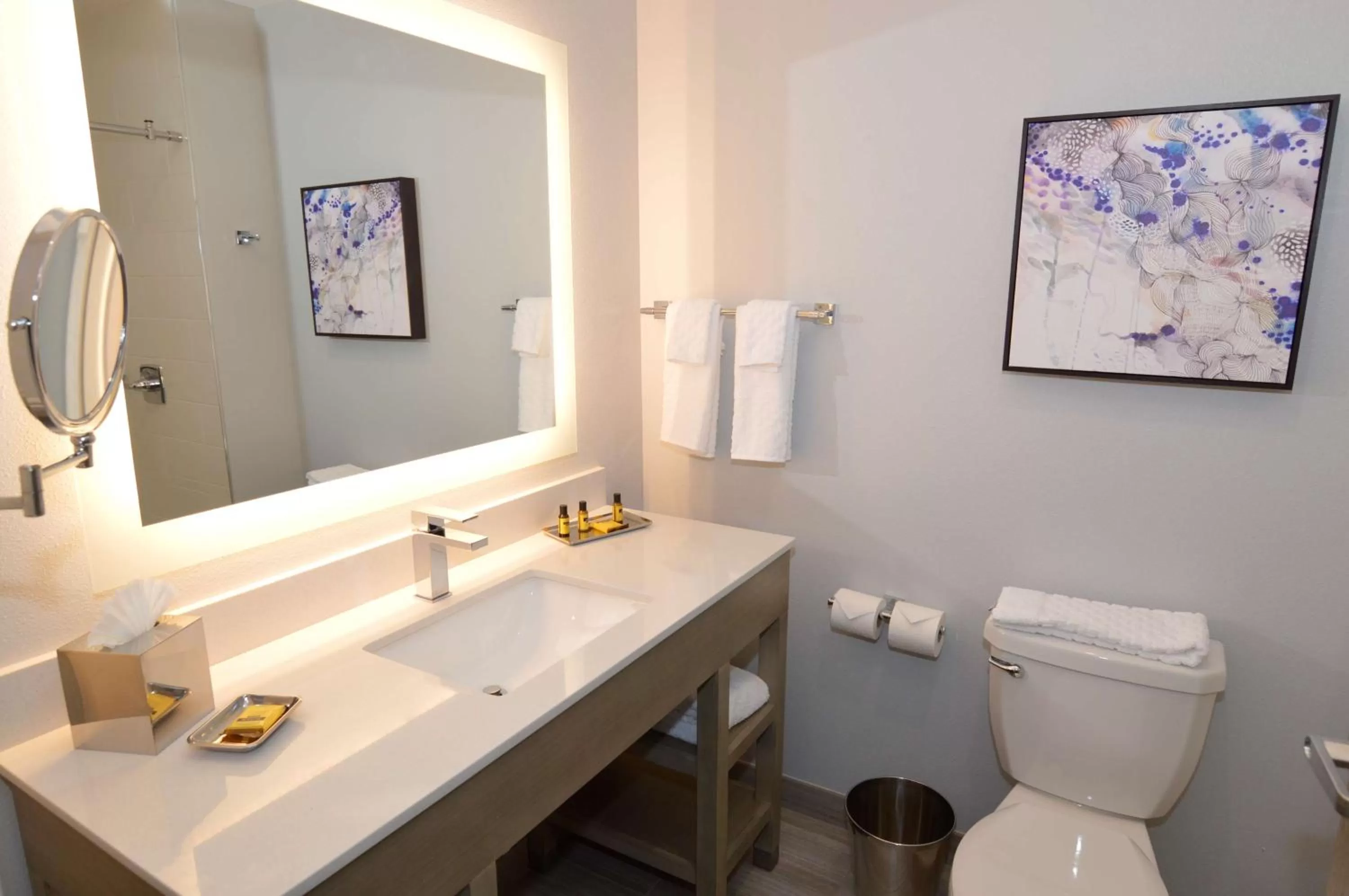 Bathroom in Best Western Plus Executive Residency Oklahoma City I-35