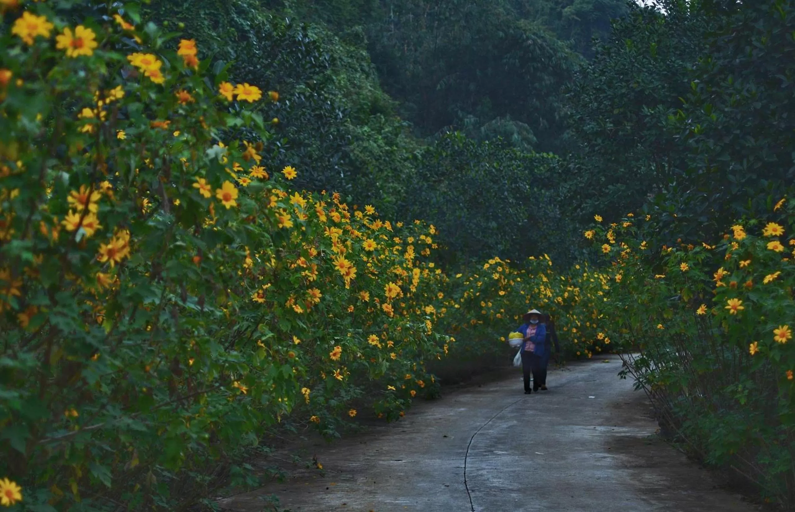 Natural landscape in Thung Nham Resort