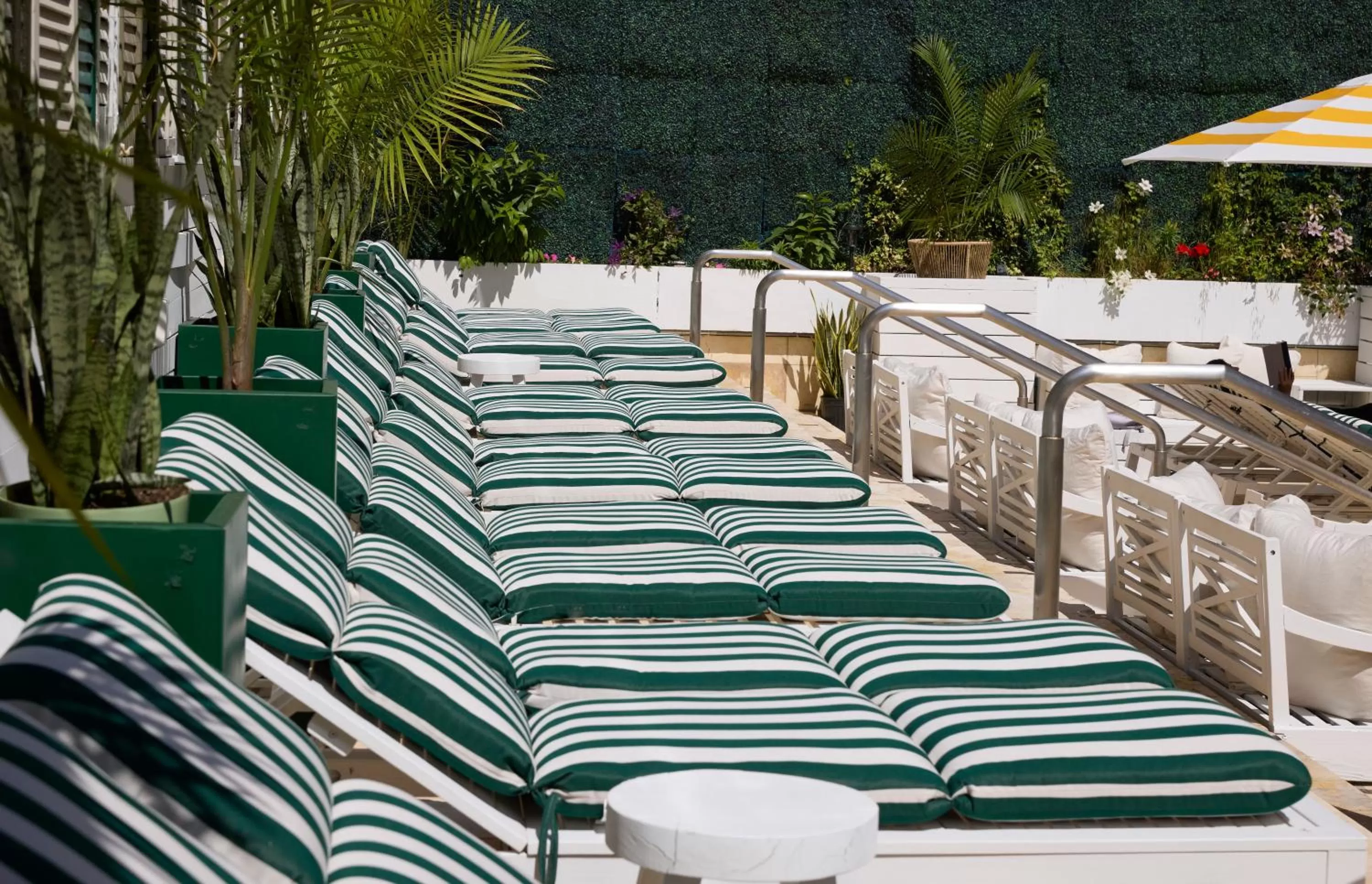 Swimming pool in CODA Williamsburg