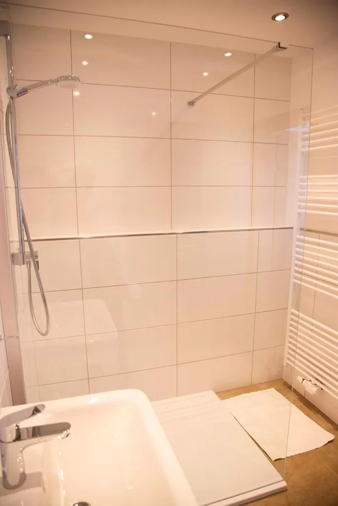 Shower in Hotel Zum Goldenen Stern