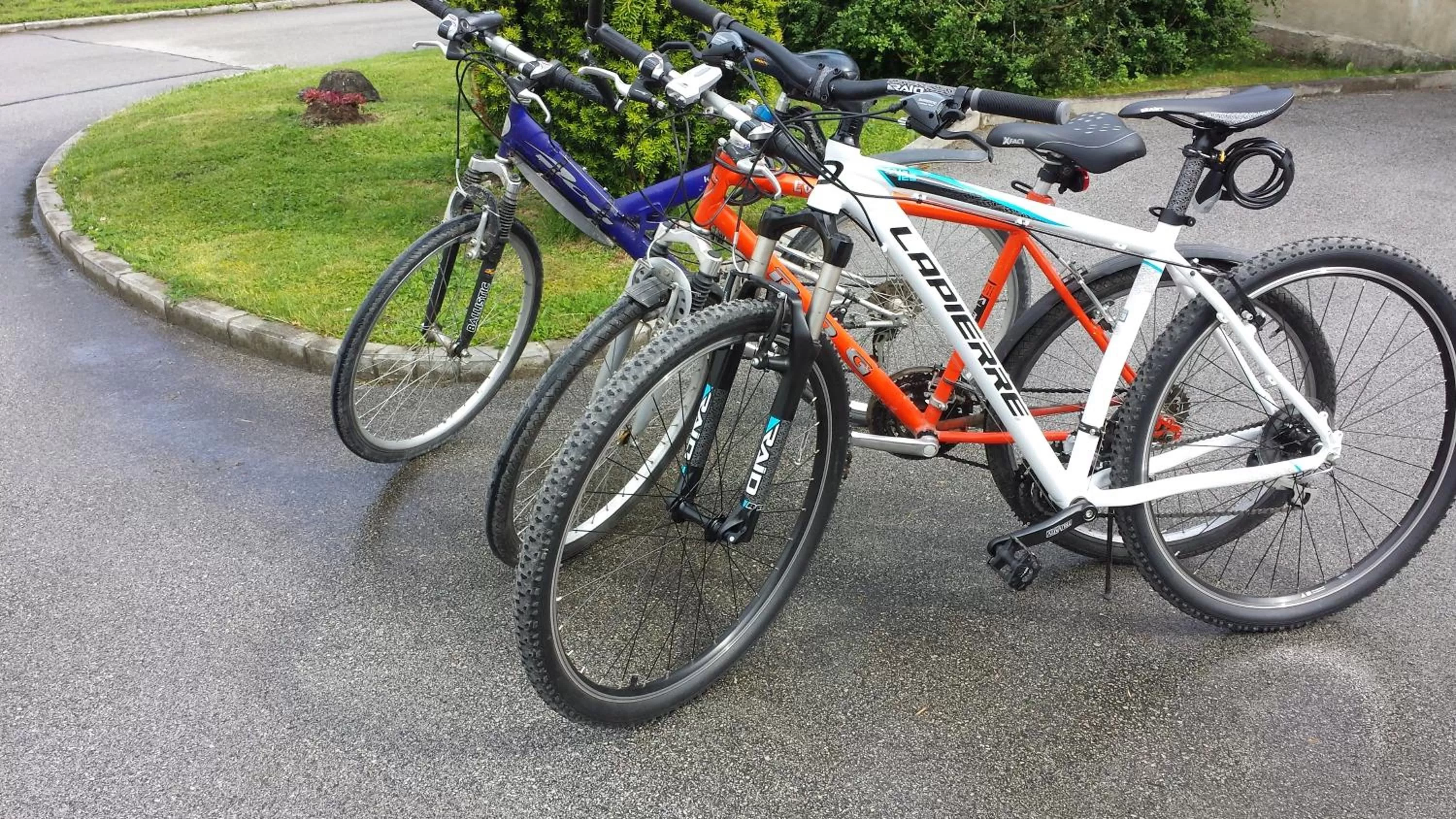 Cycling in Rooms & Apartments Jana