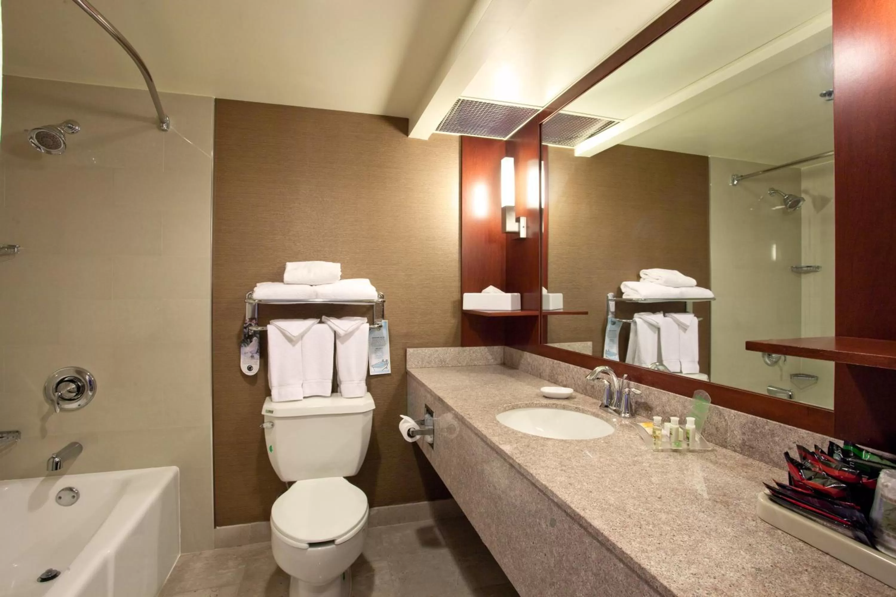 Bathroom in Holiday Inn Los Angeles Gateway-Torrance by IHG