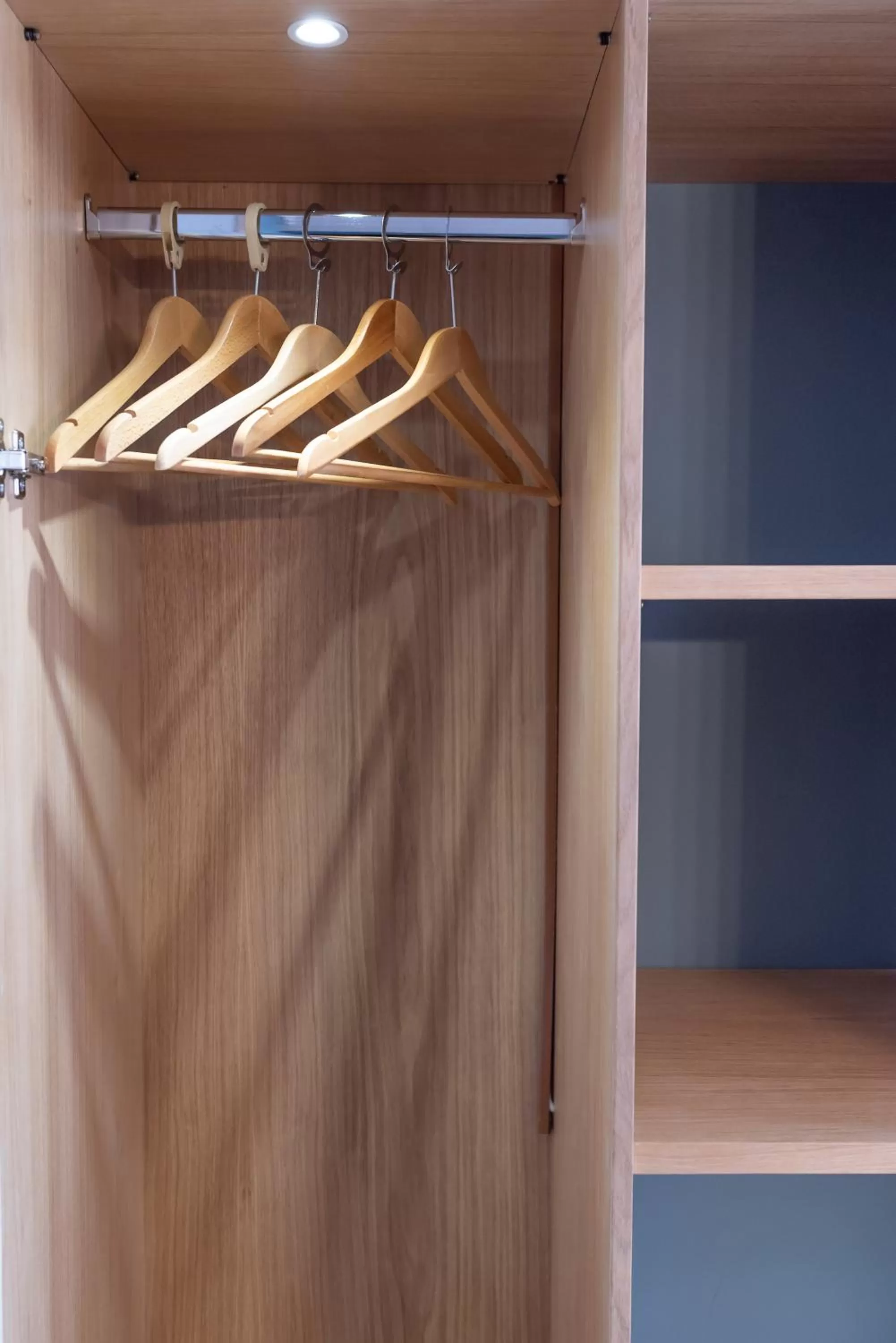 Area and facilities in Heliotrope Hotels