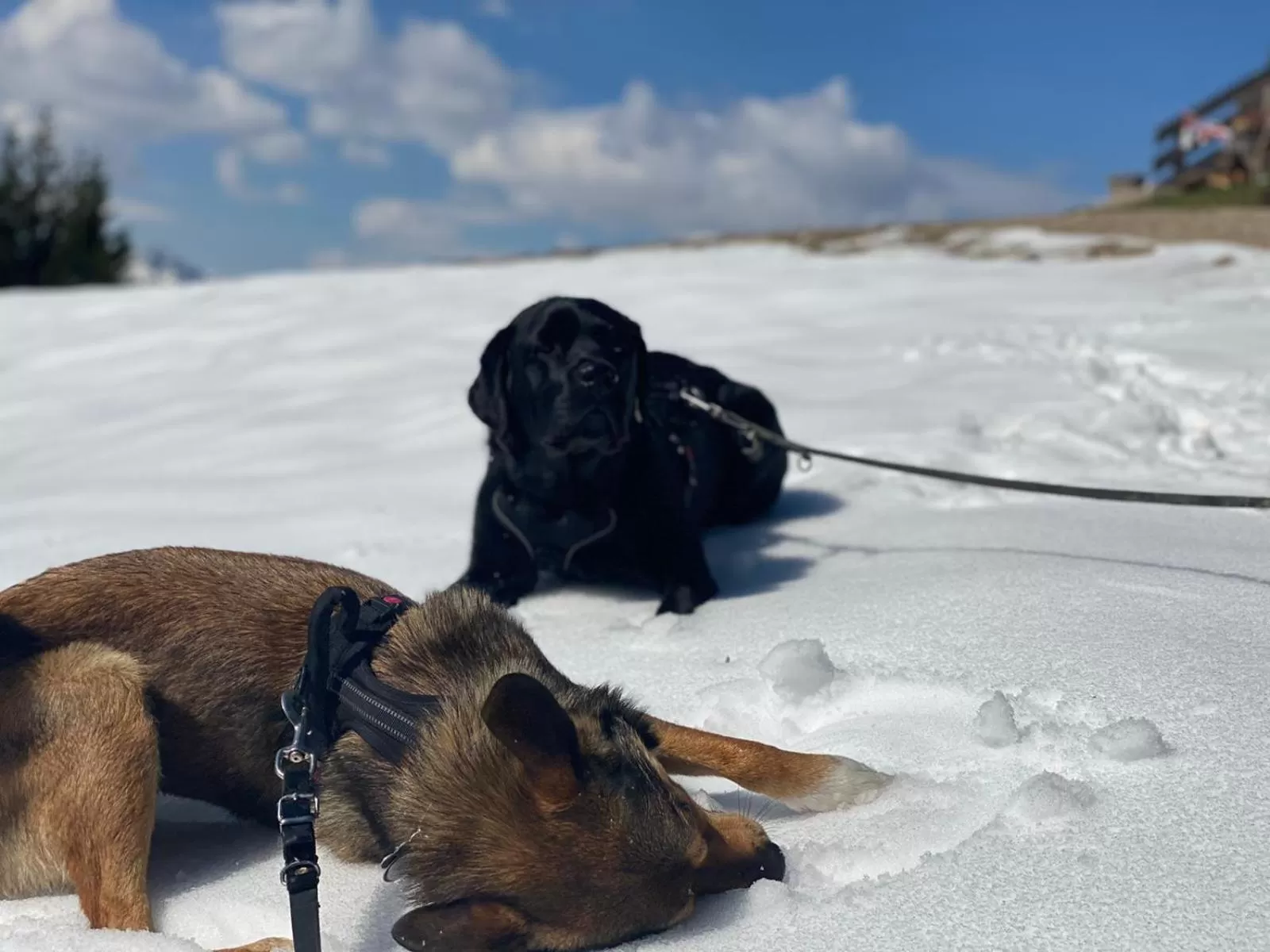 Winter in Hotel Casa Maria