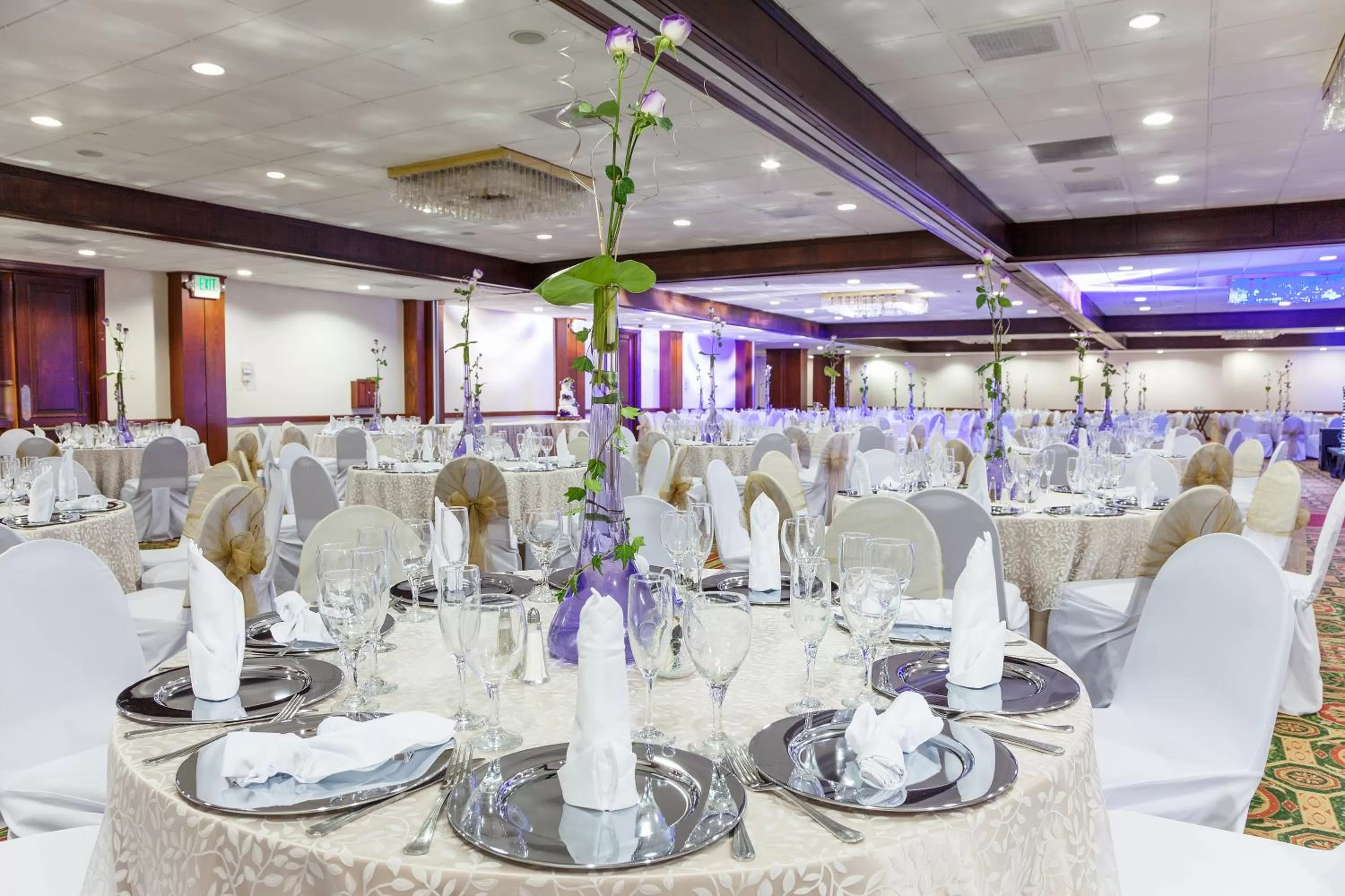 Banquet/Function facilities in Barceló Guatemala City