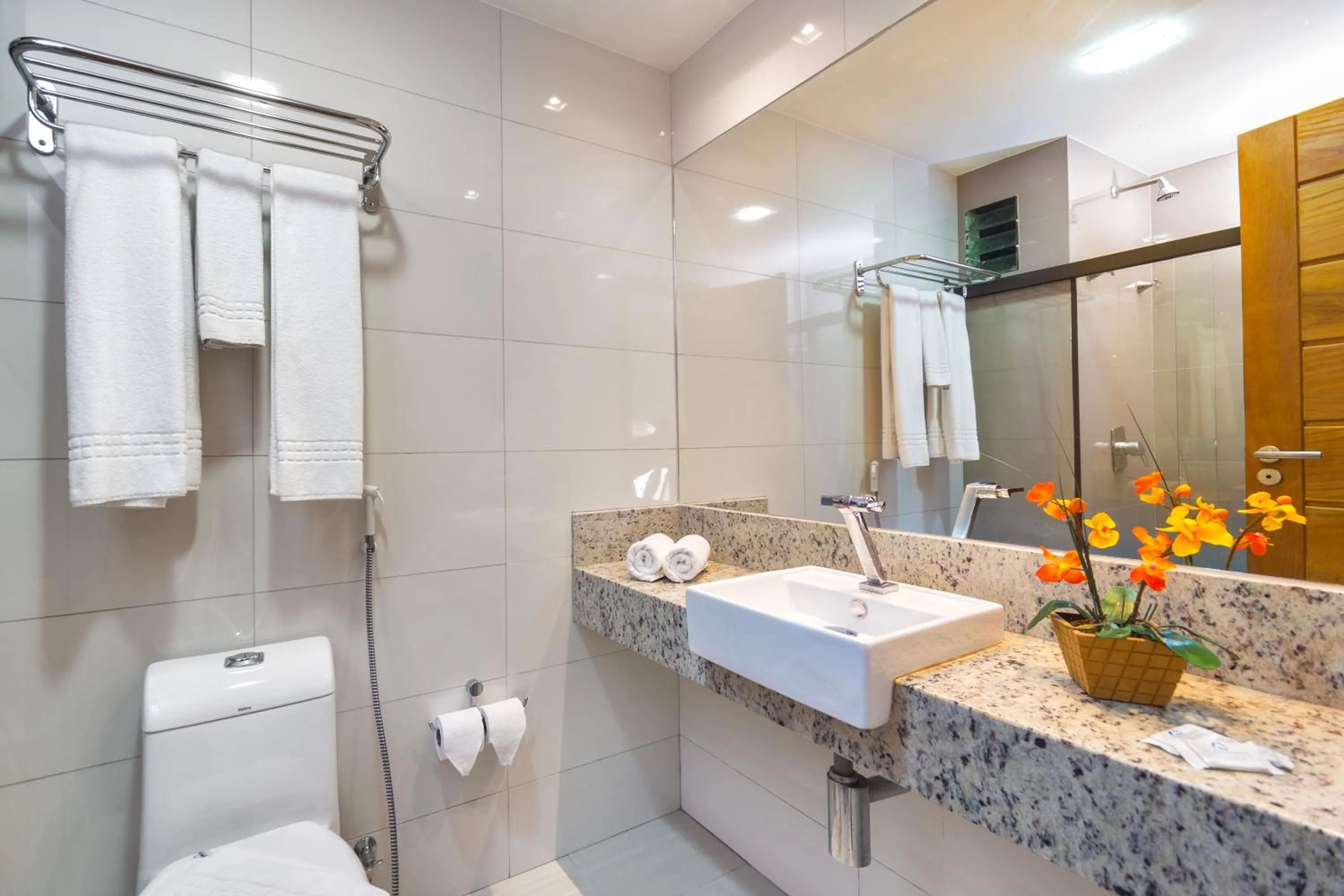 Toilet in Transoceanico Praia Hotel