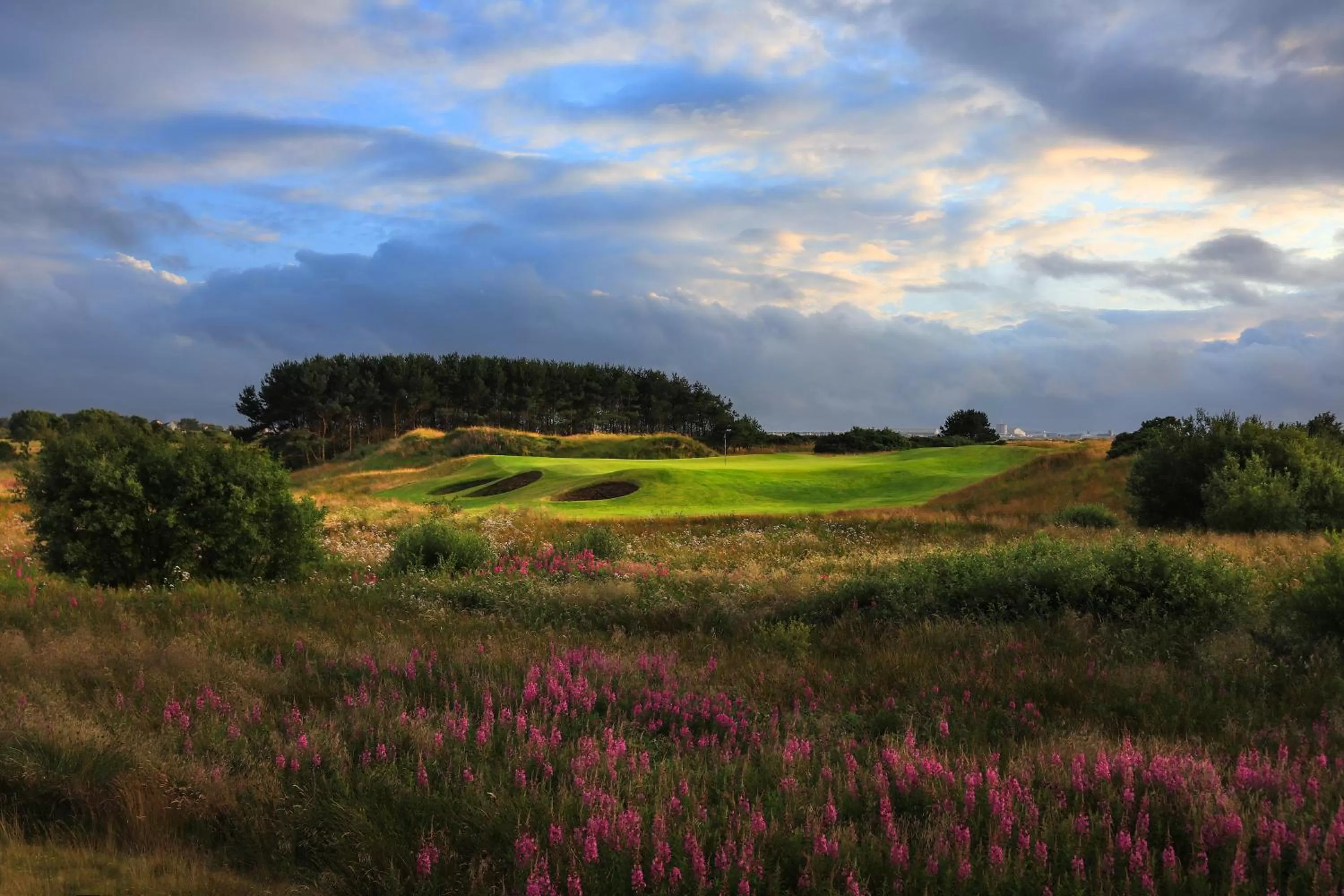 Natural Landscape in Dundonald Links