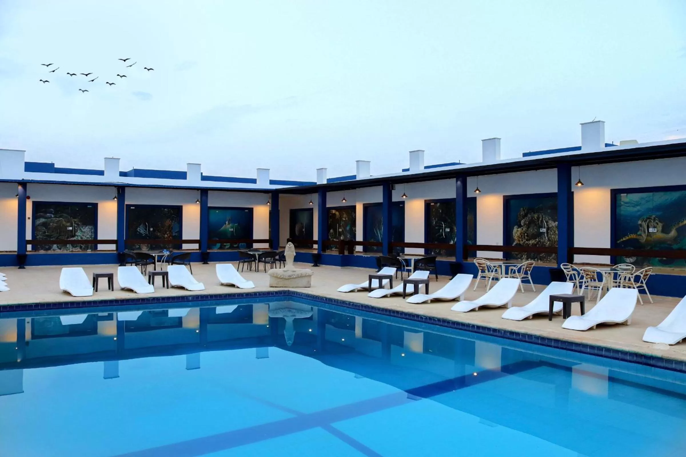 View (from property/room), Swimming Pool in Aqaba Adventure Divers Resort & Dive Center