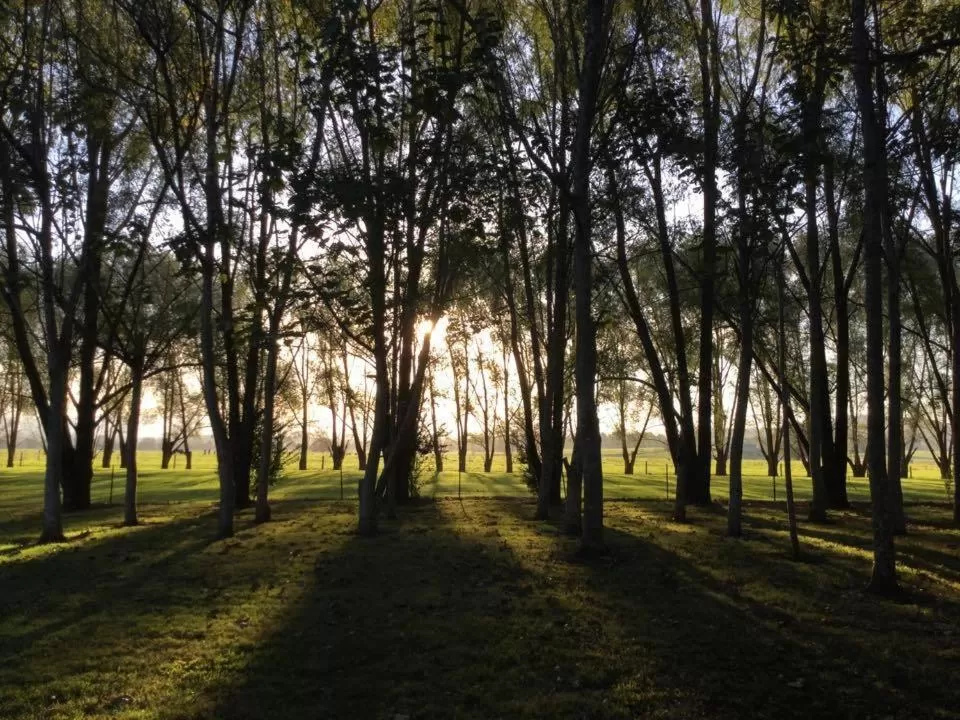 Garden in Moruya Motel