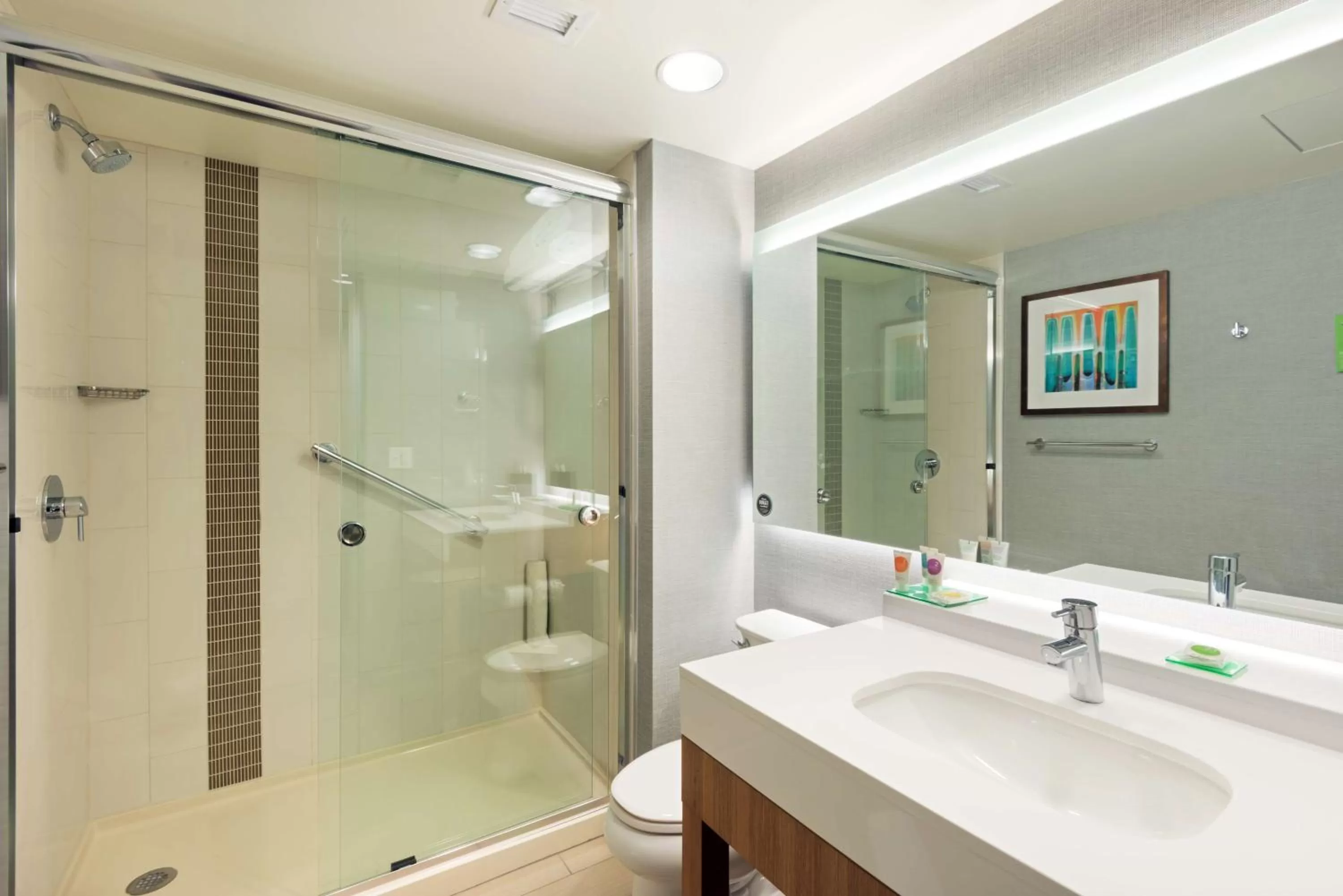 Bathroom in Hyatt Place Denver Downtown