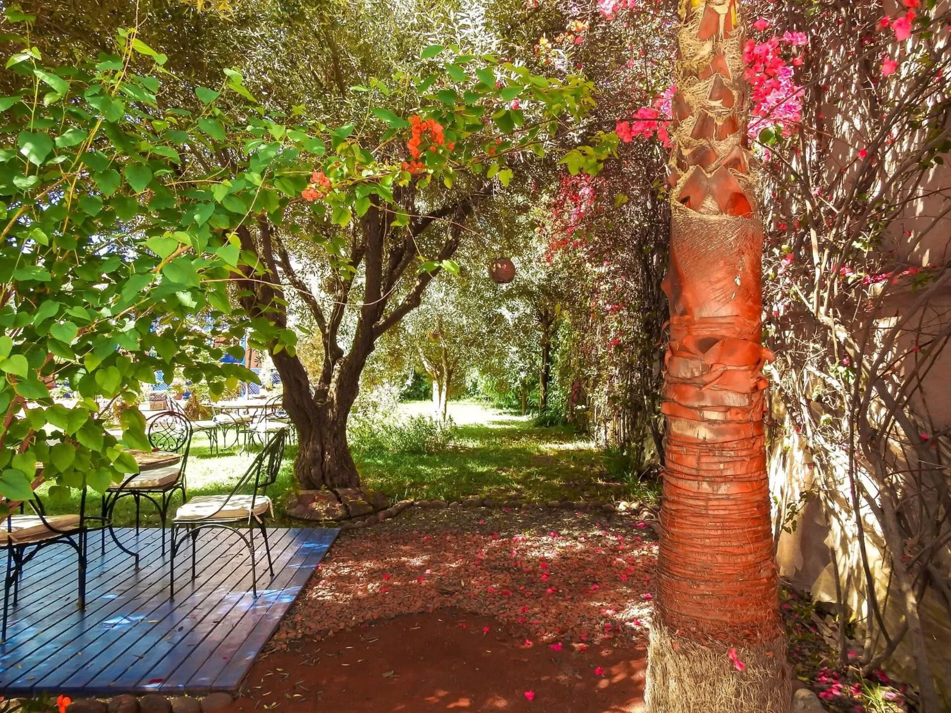 Garden in Le Bleu House