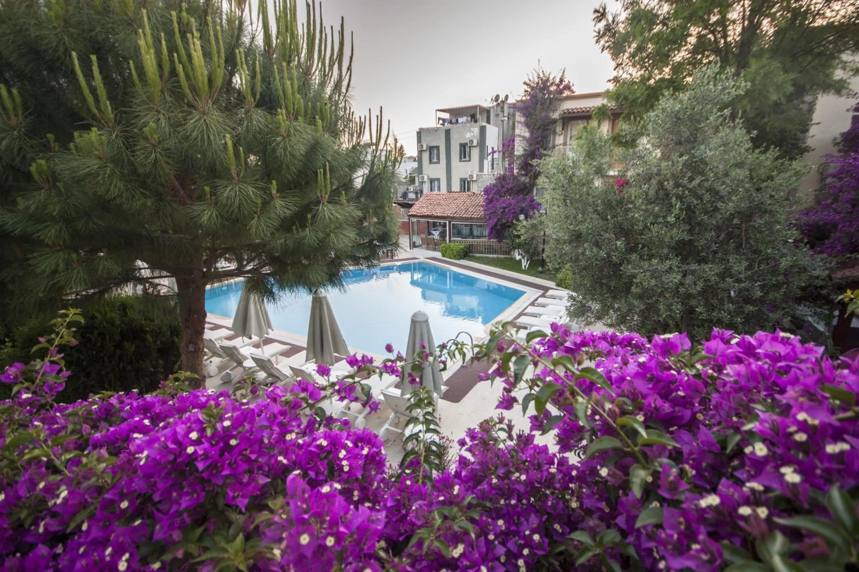 Restaurant/places to eat in Moonshine Hotel & Suites