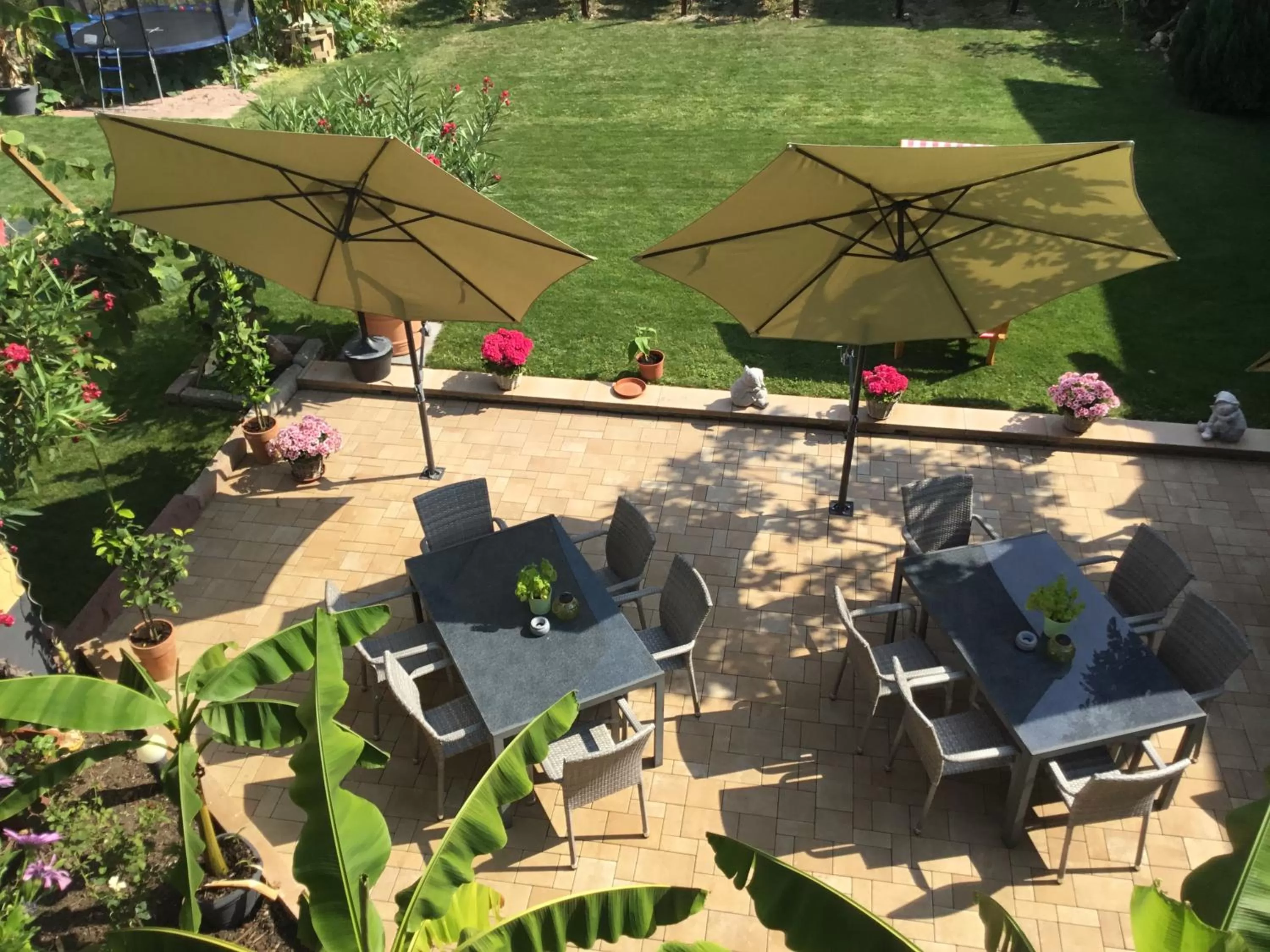 Restaurant/Places to Eat in Bed and Breakfast - Rheingauer Hof