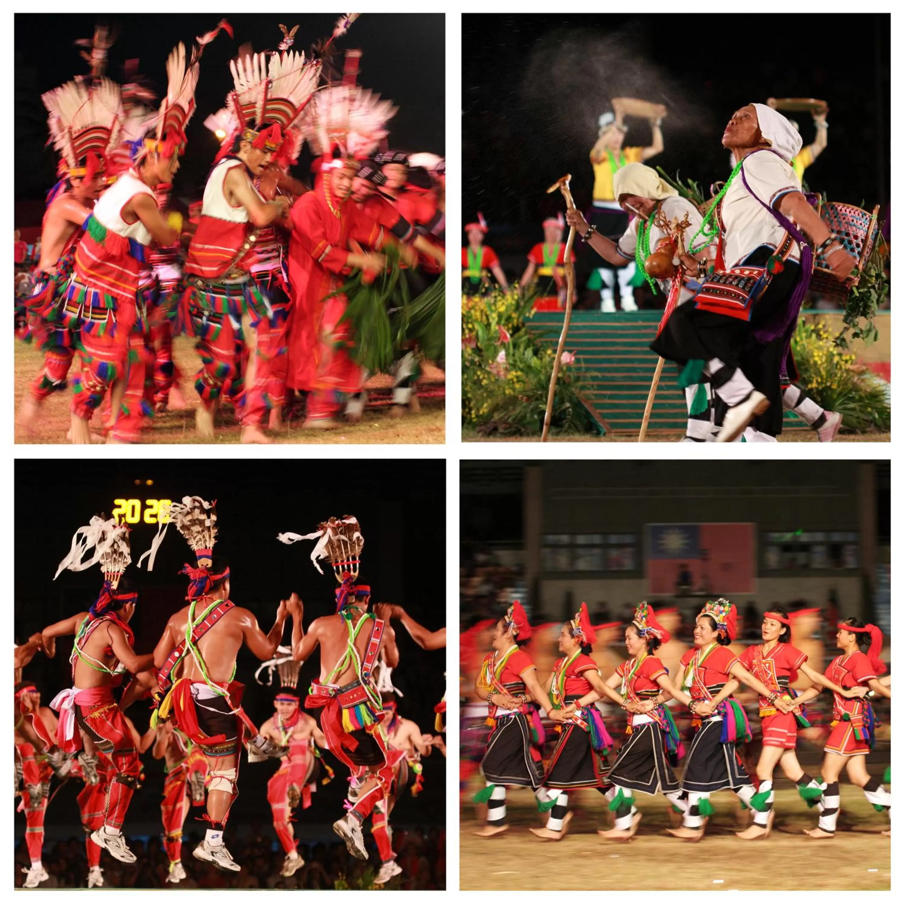 Other in Errantry Lodge & Studio