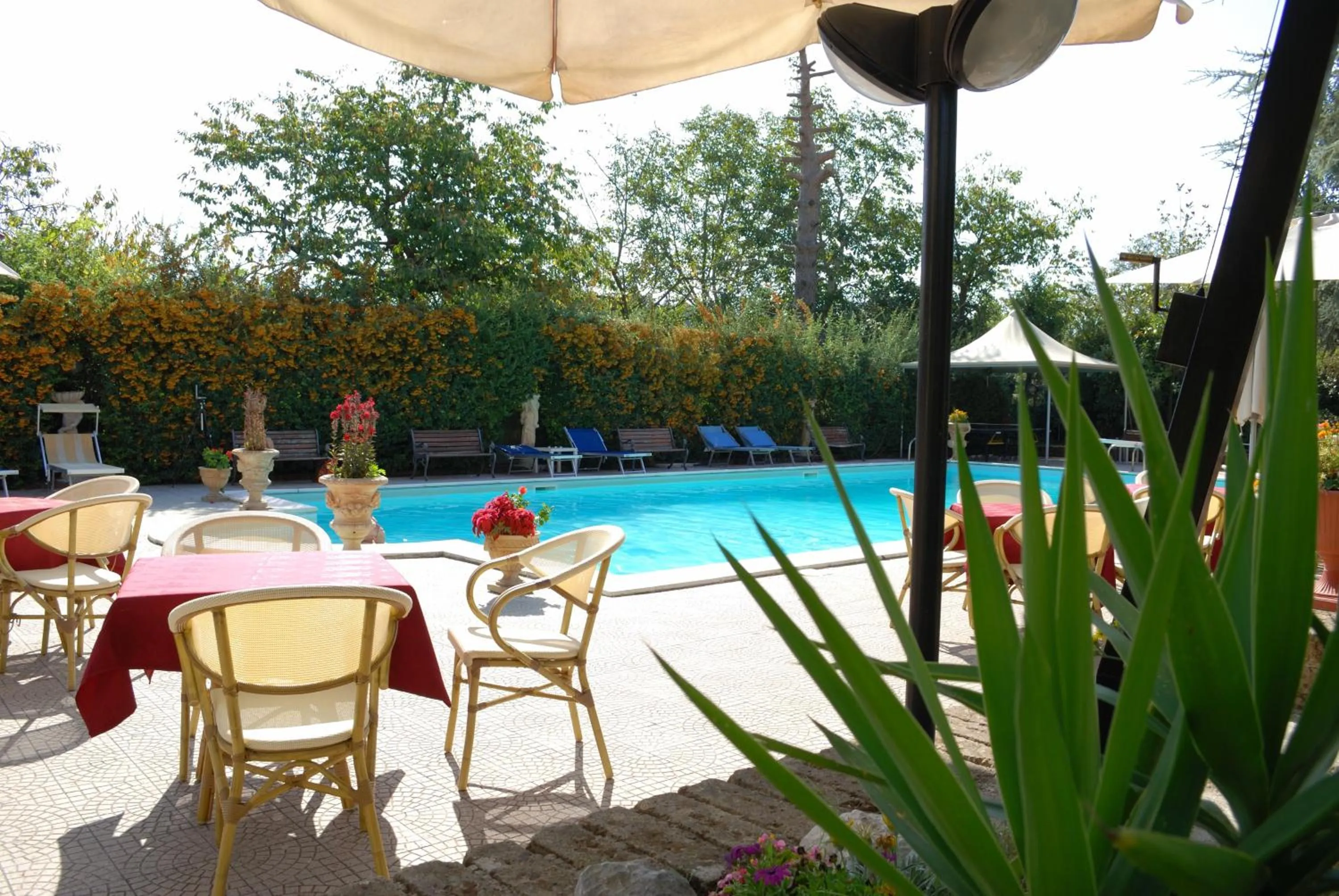 Swimming pool in Hotel Caserta Antica