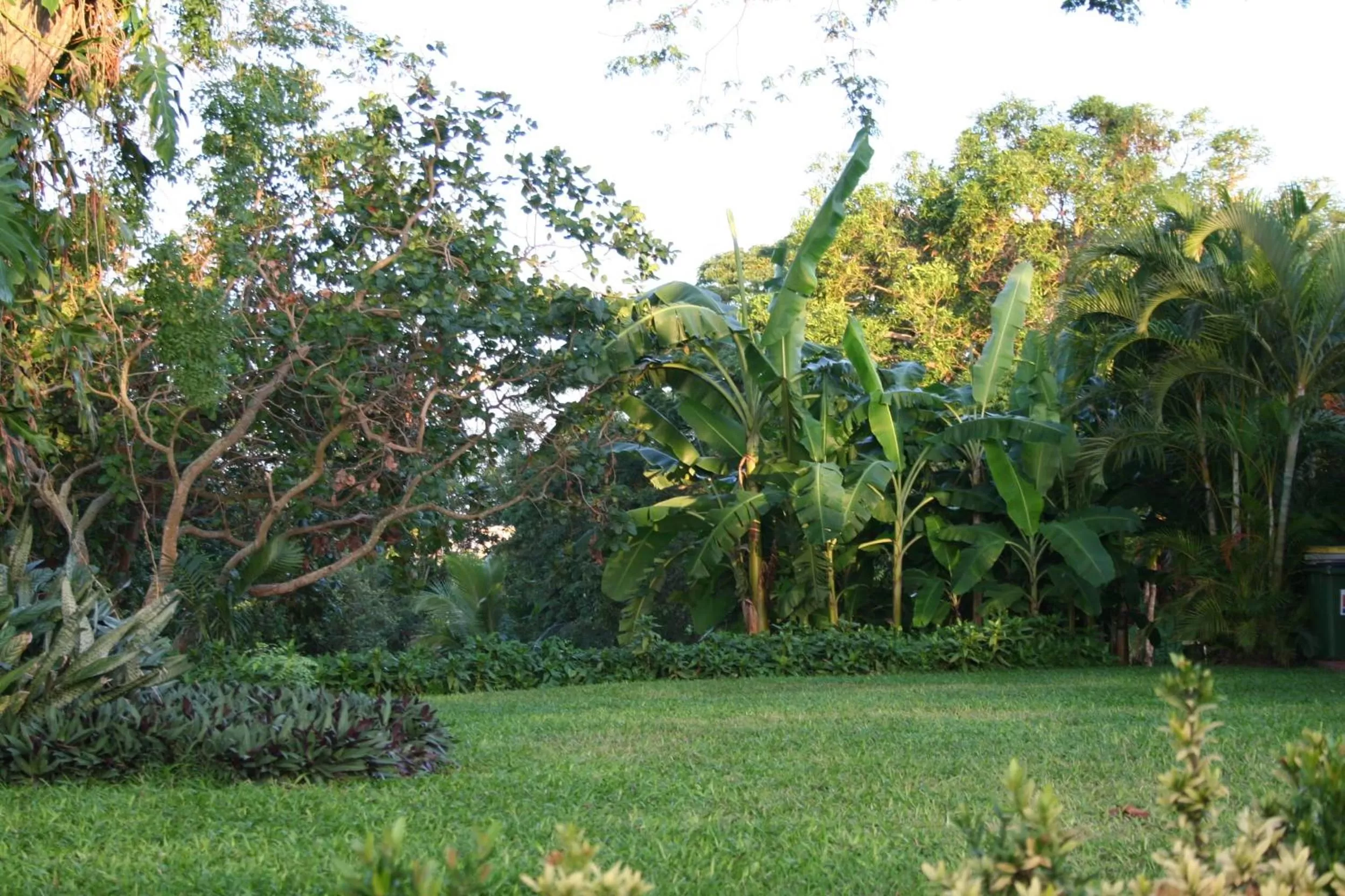 Garden in Habitation du Comté