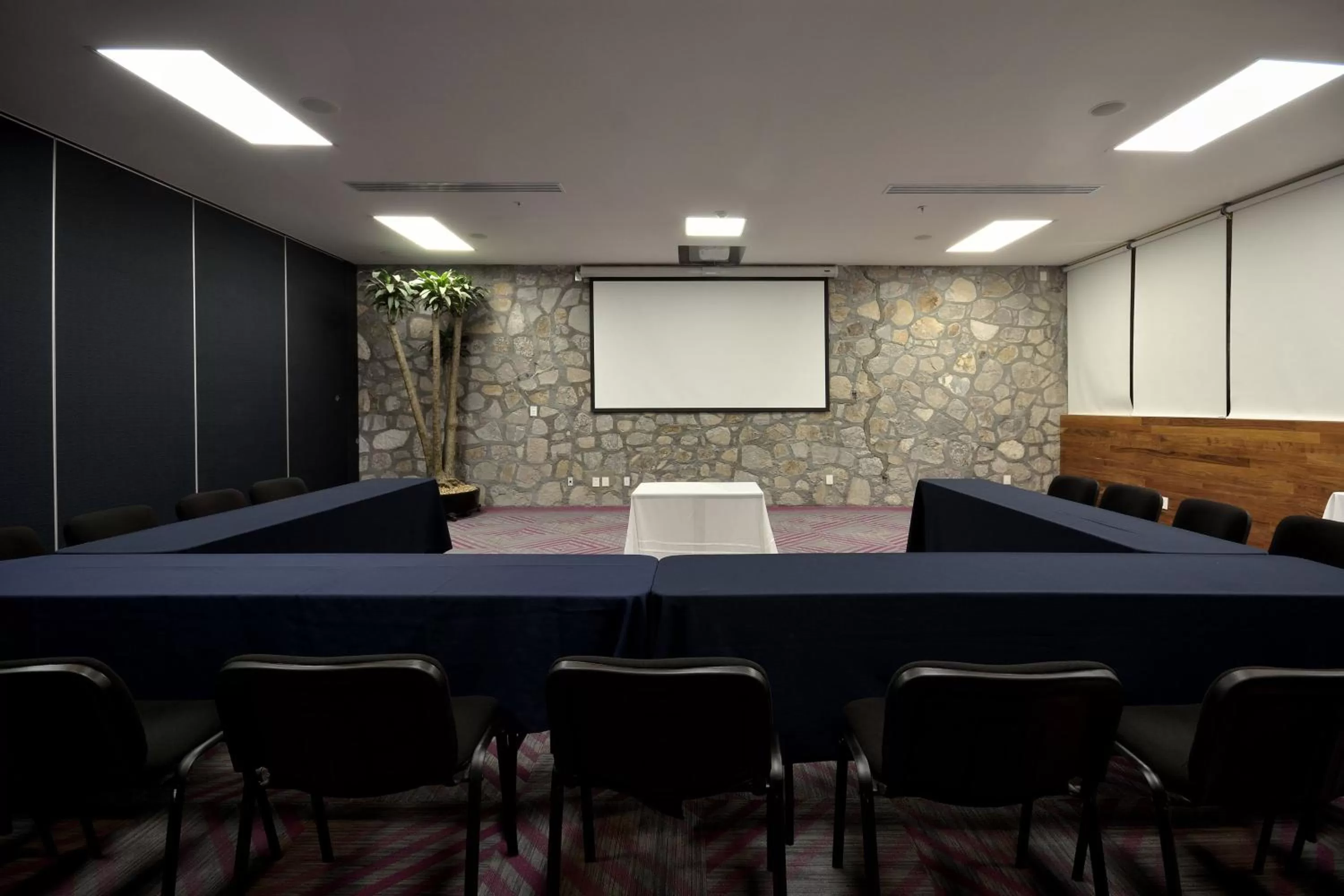 Meeting/conference room in Holiday Inn Express Pachuca by IHG