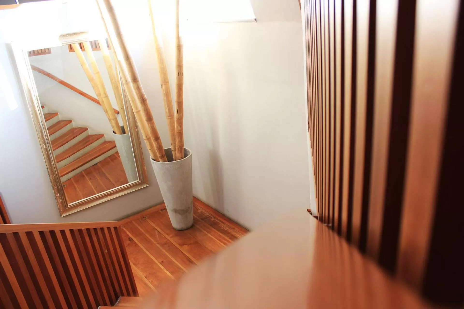 Hotel Las Terrazas Business