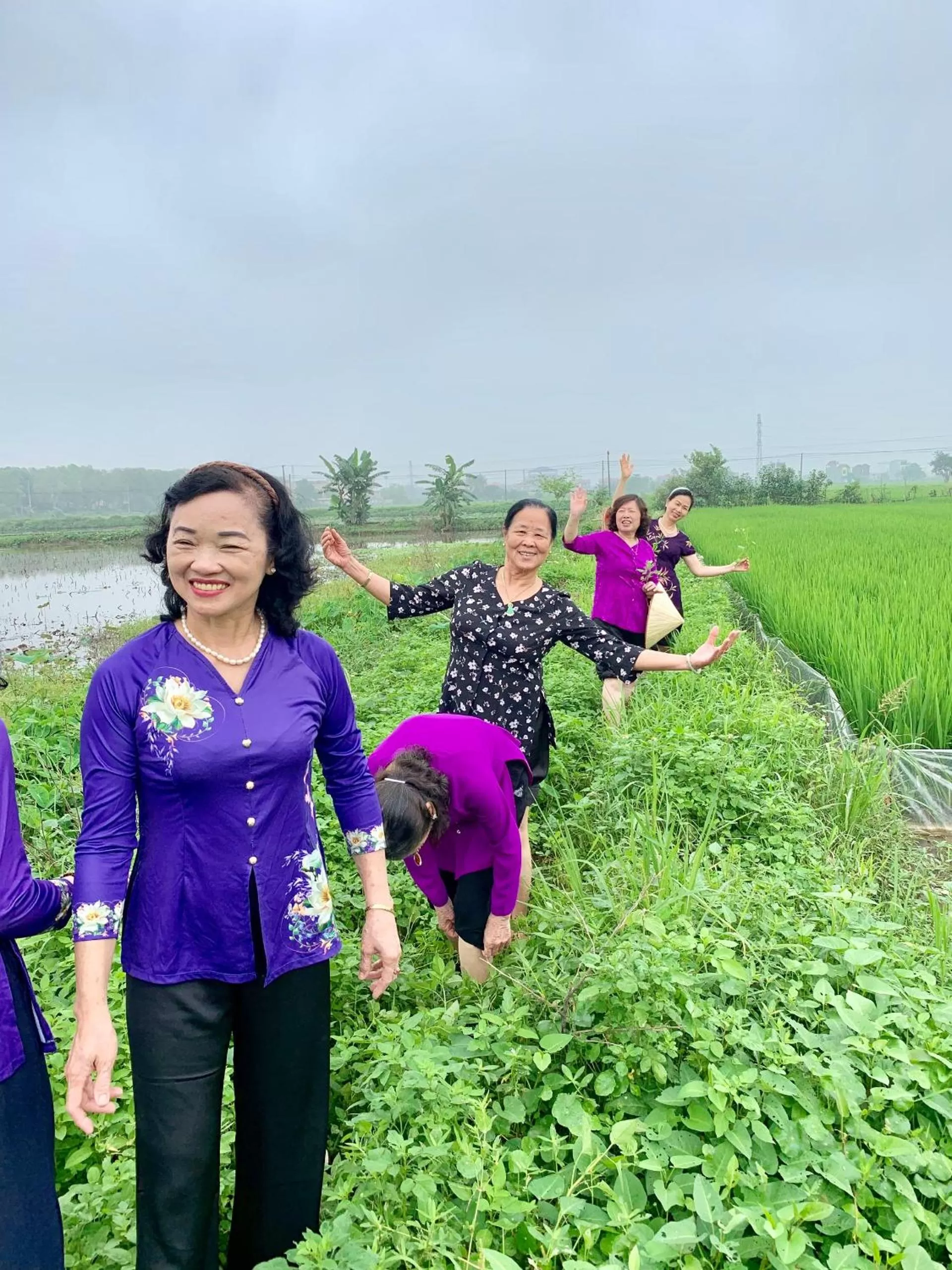 Spring in Lotus Hotel Ninh Bình