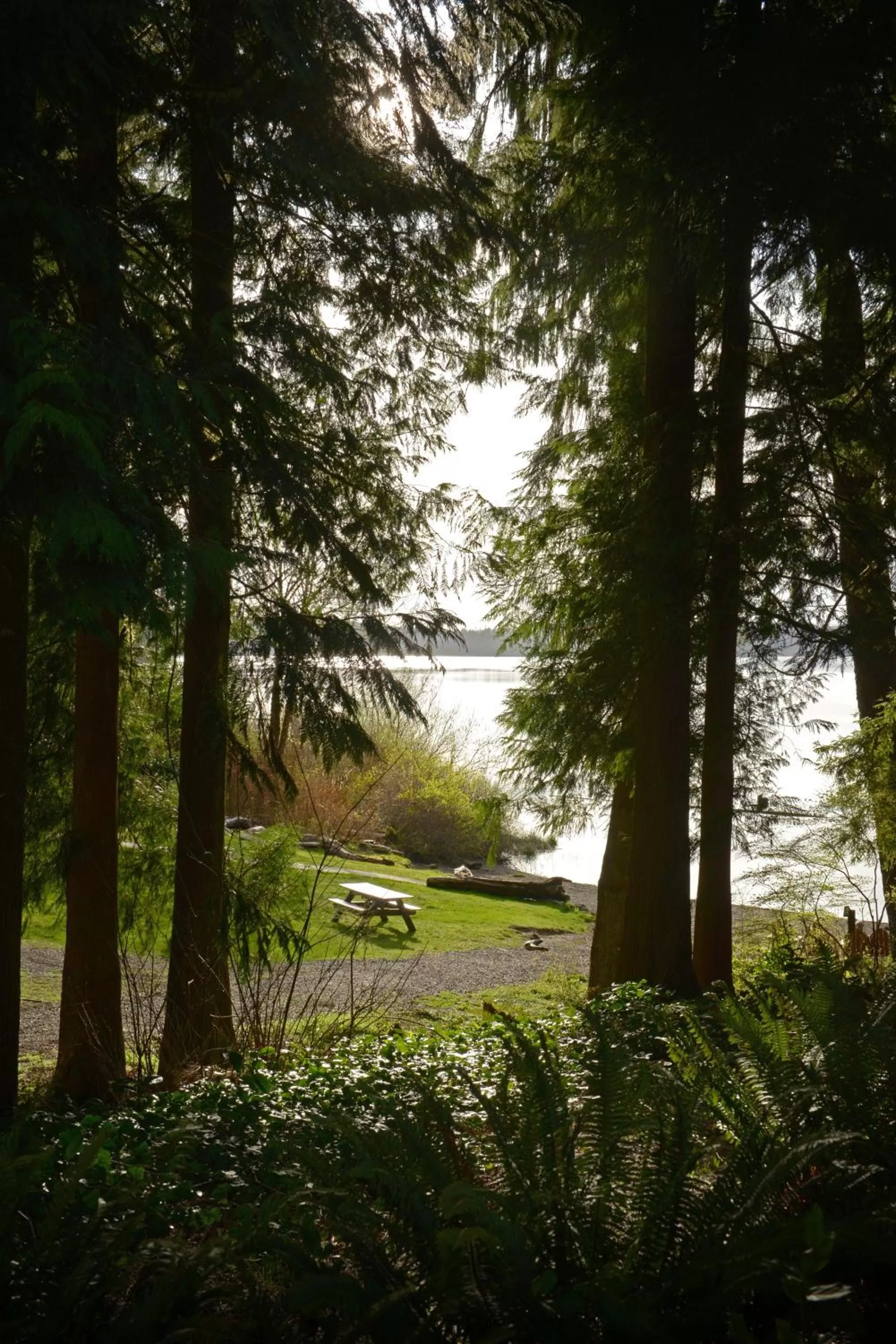 Lake view in Lake Quinault Lodge