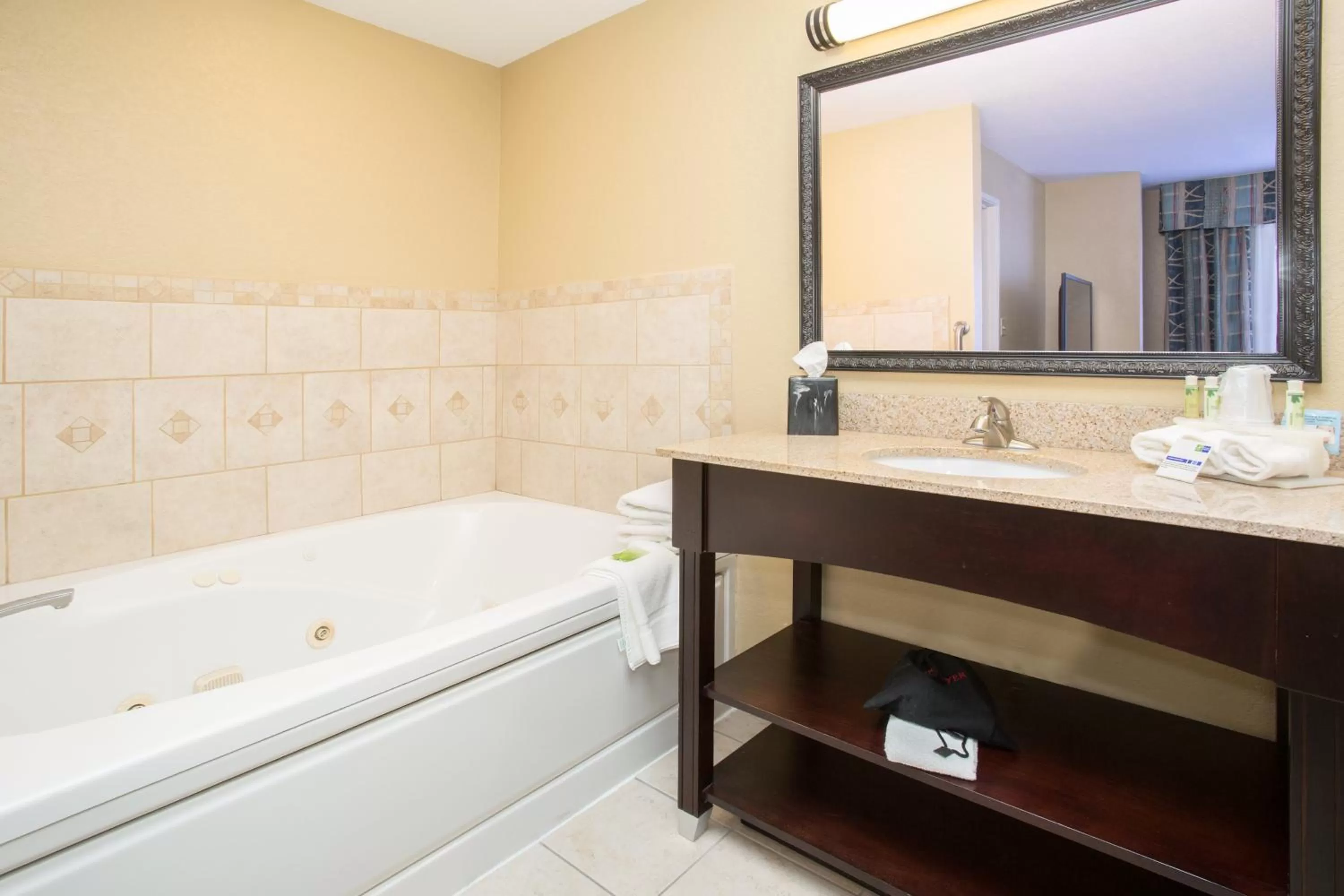 Bathroom in Holiday Inn Express Hotel & Suites Lexington by IHG