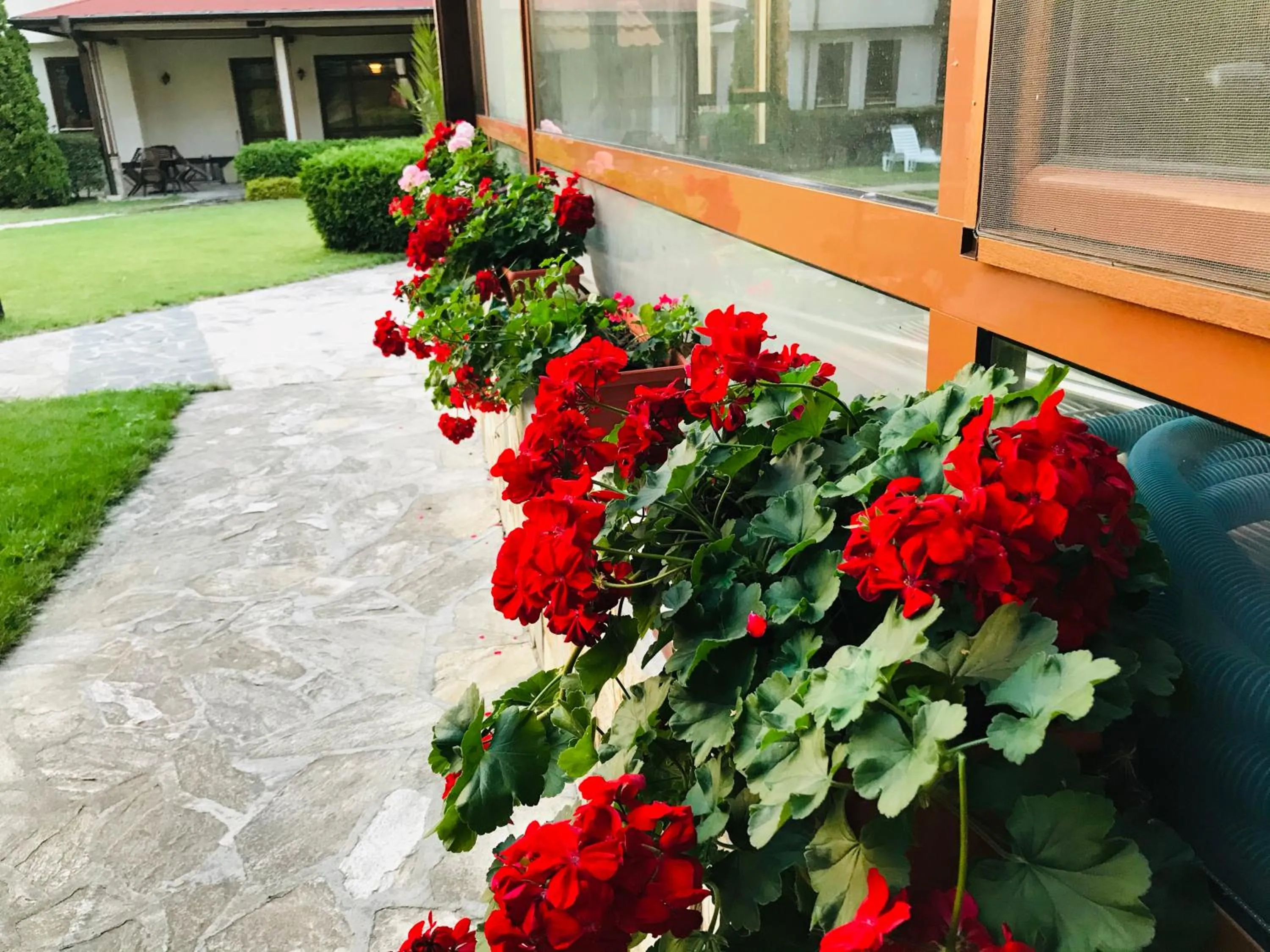 Garden in Evelina Palace Hotel