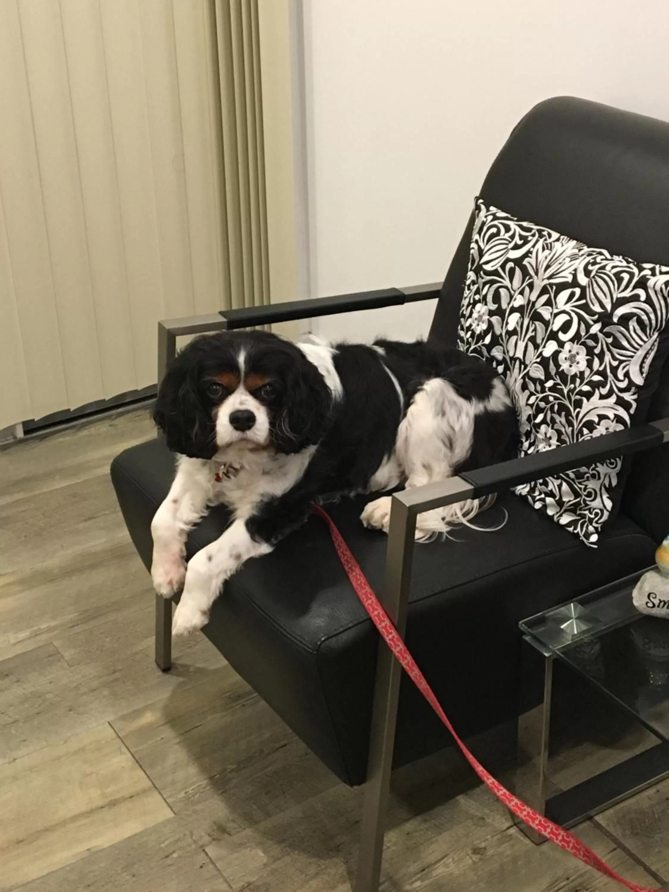 Text overlay in Buccaneer Motel