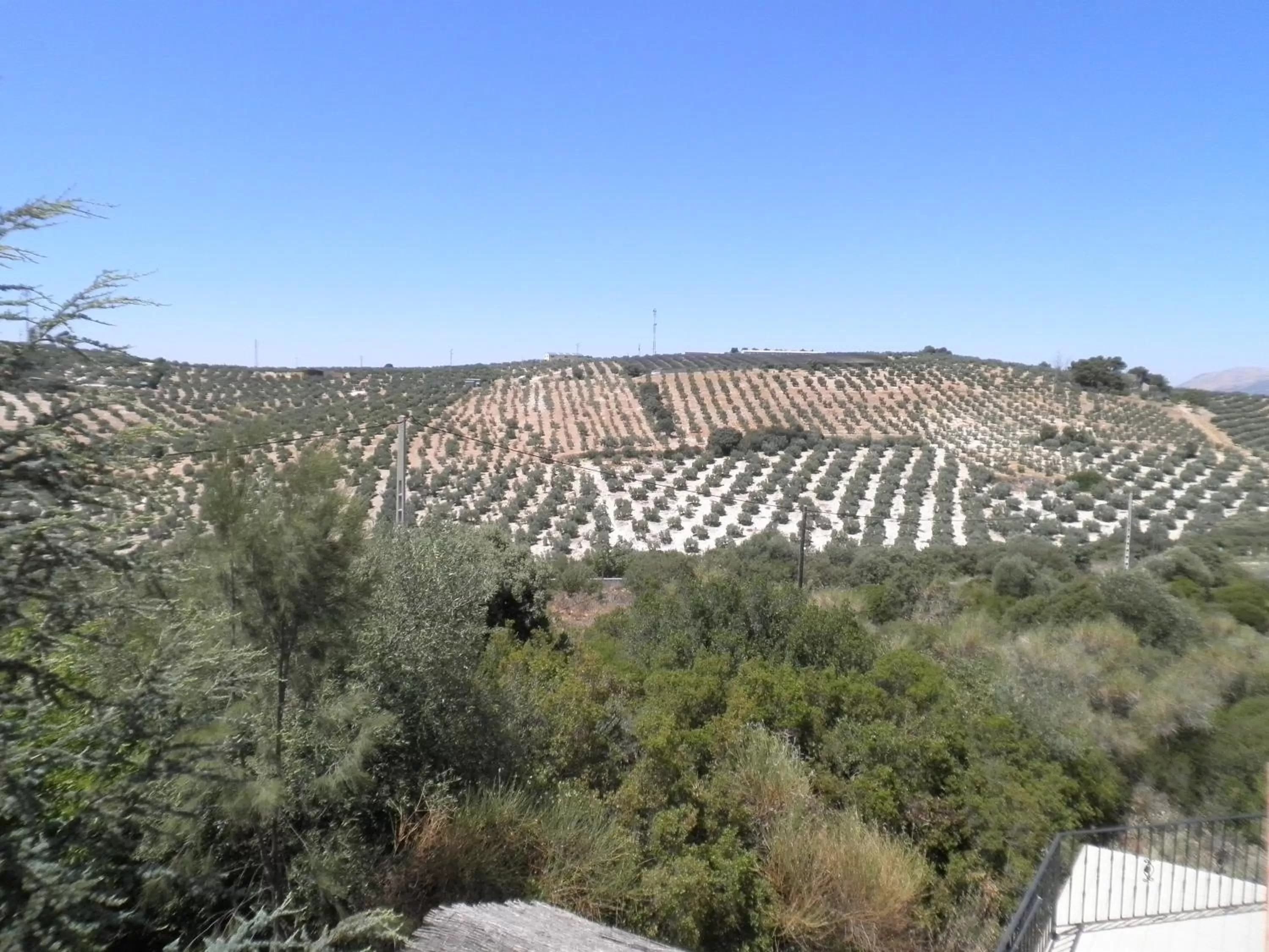 Area and facilities in Hotel Sierra de Araceli Lucena