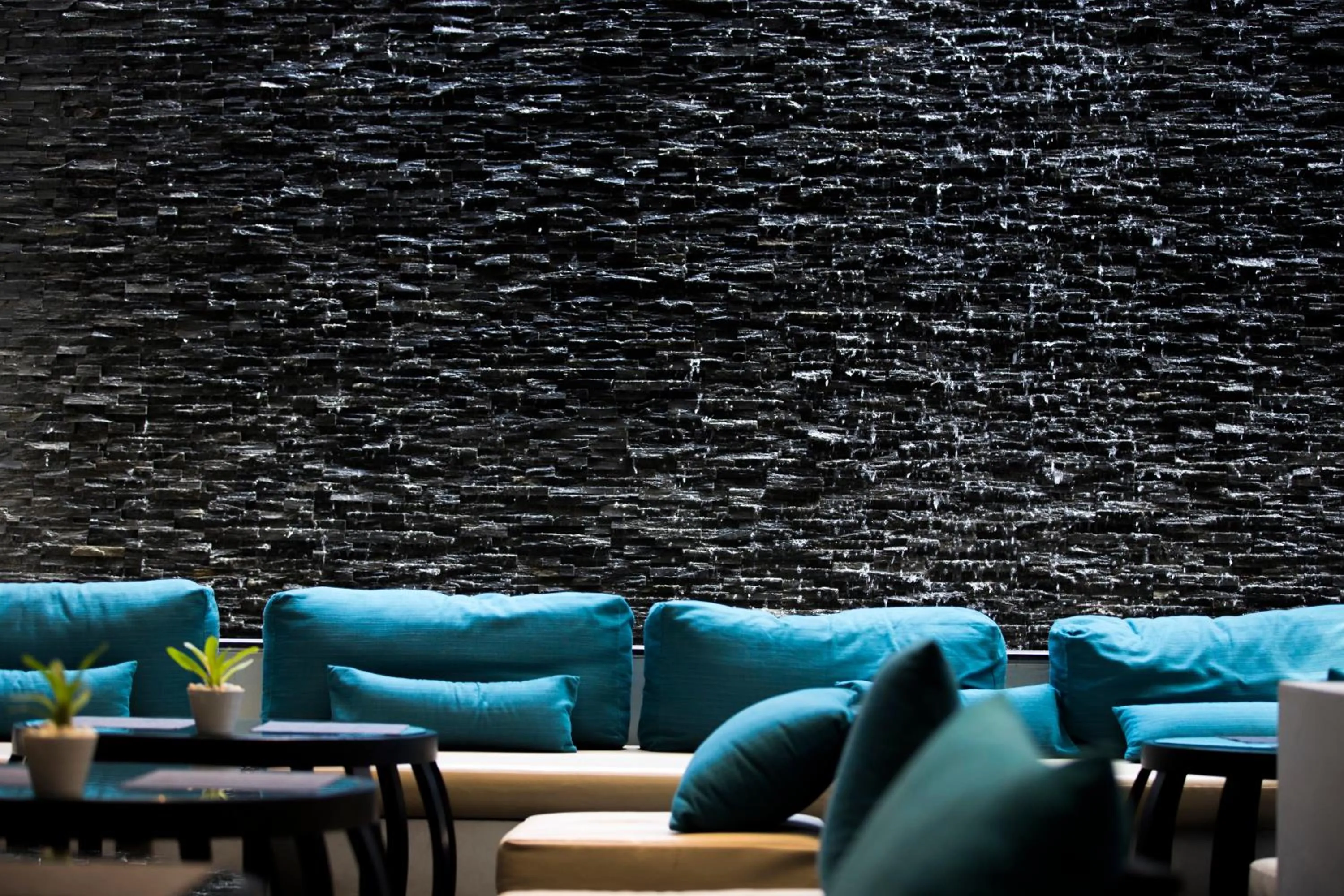 Restaurant/places to eat in Nap Patong