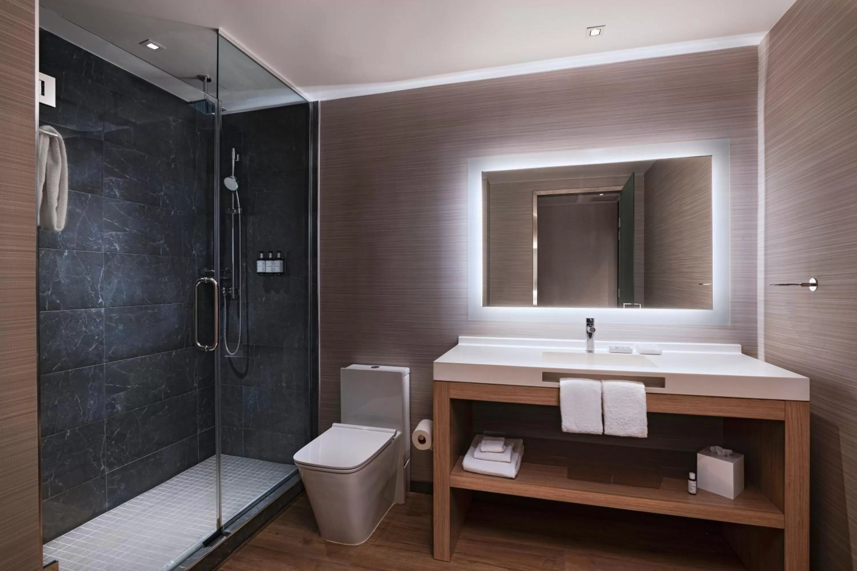 Bathroom in AC Hotel Houston Downtown