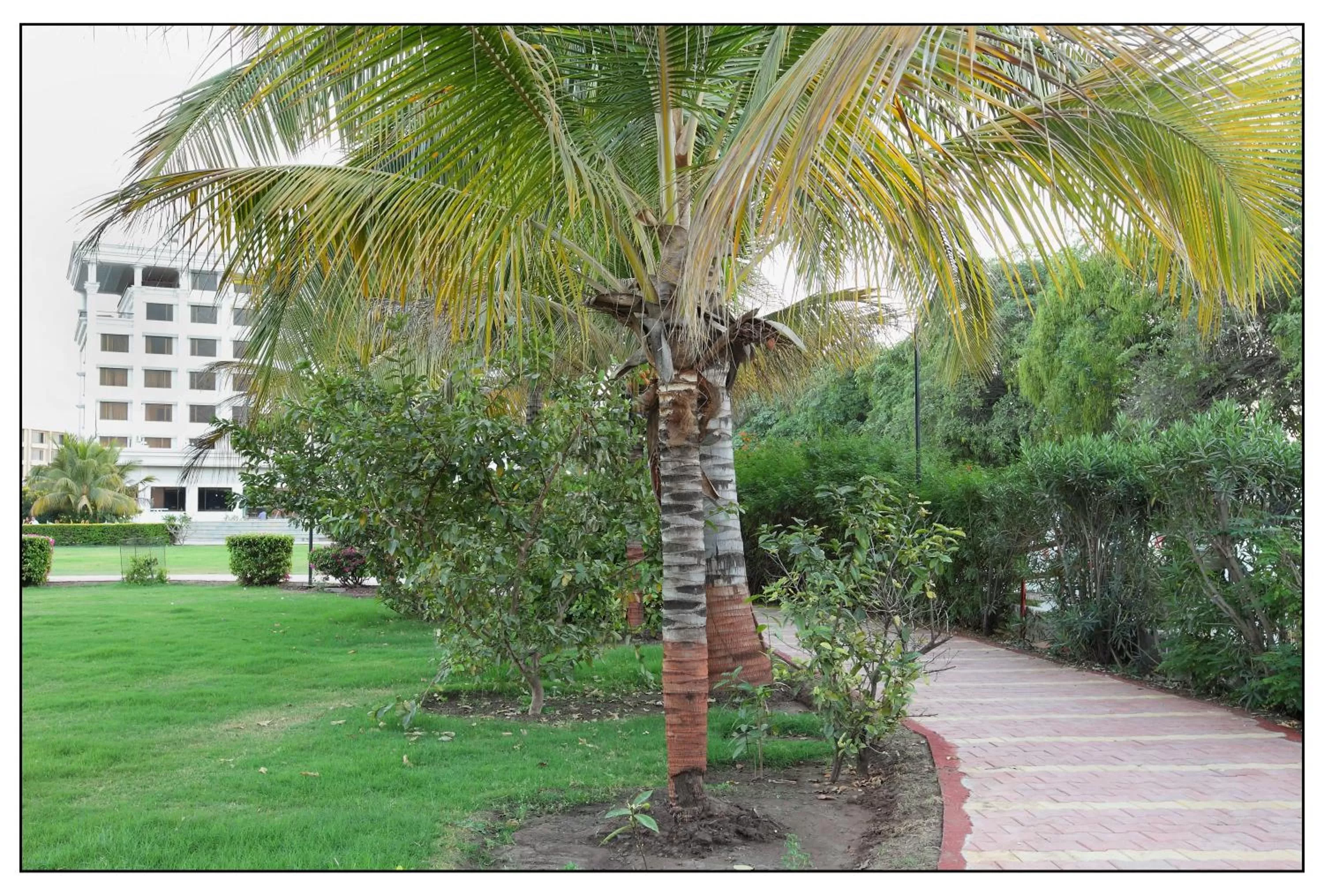 Garden in Sun-n-Sand Shirdi