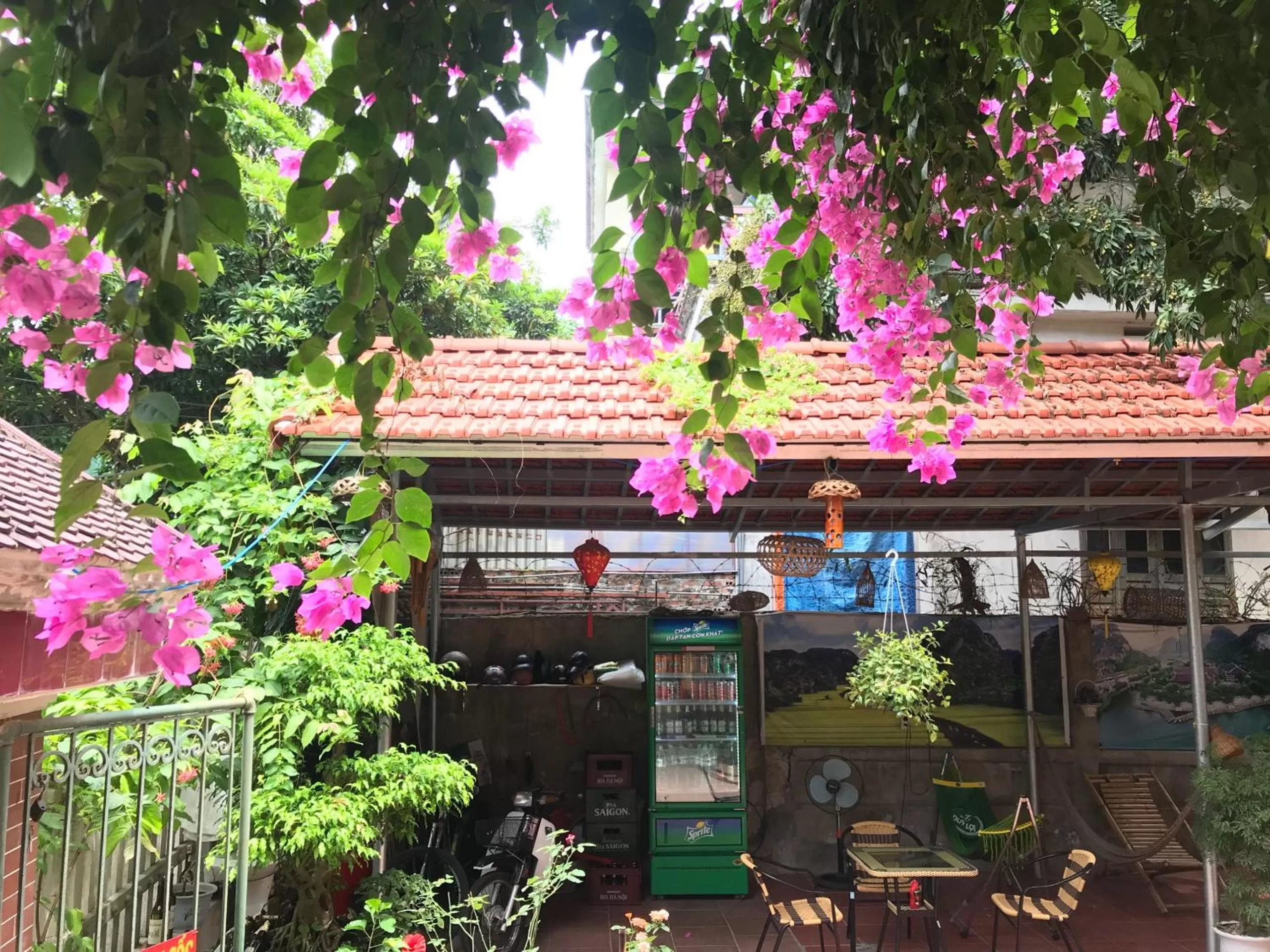 Spring in Tam Coc Family Hotel