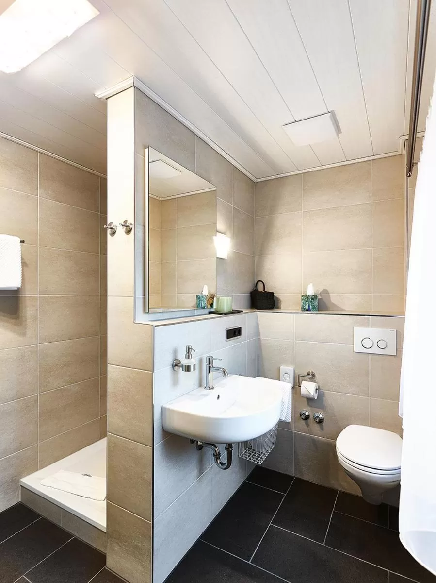 Toilet, Bathroom in Gasthof Adler