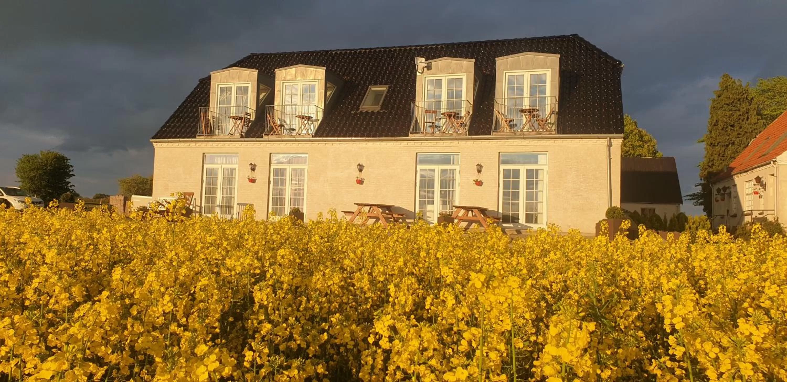 Property Building in Roskilde B&B