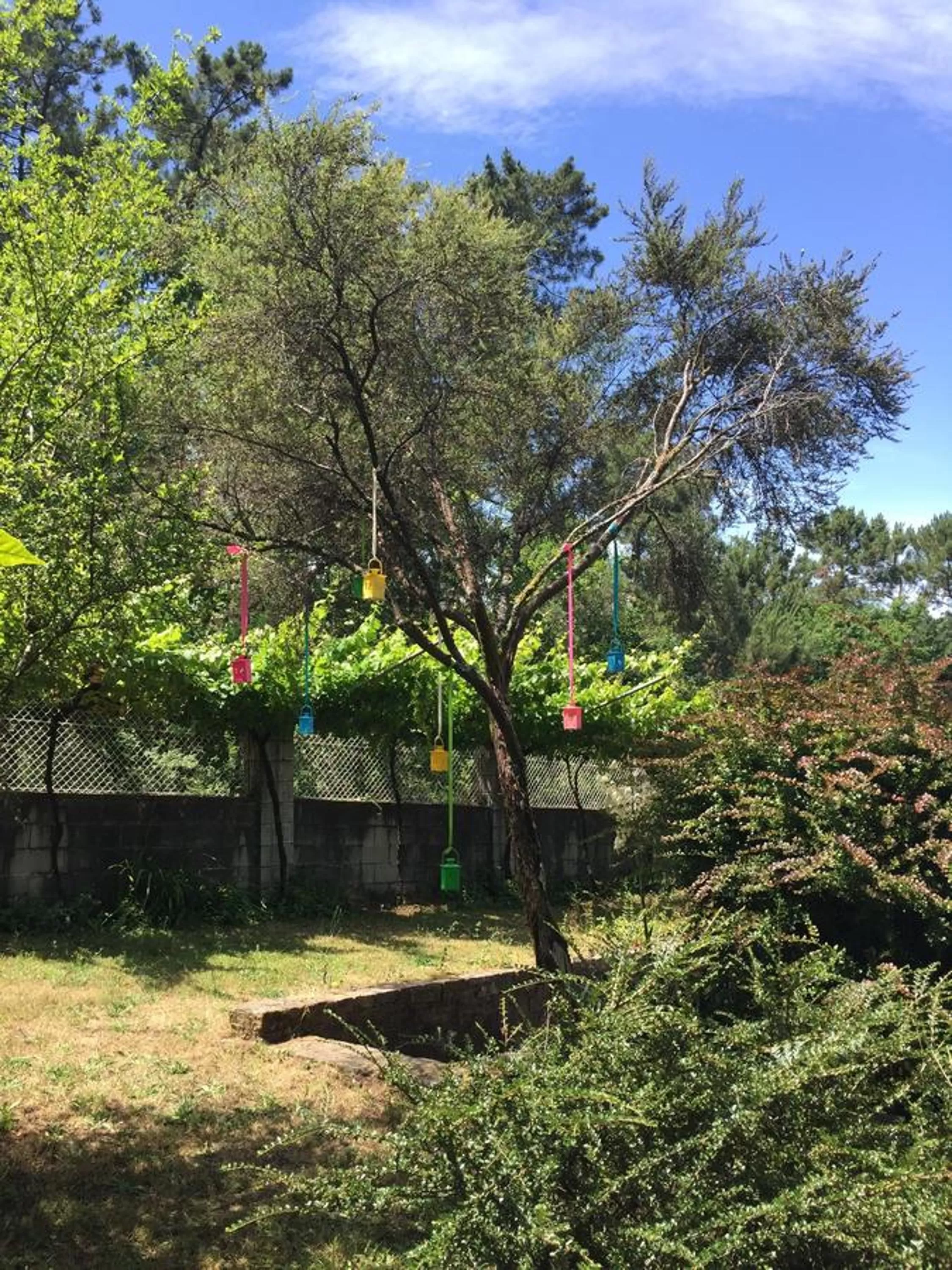 Area and facilities in Agro da Gandarela