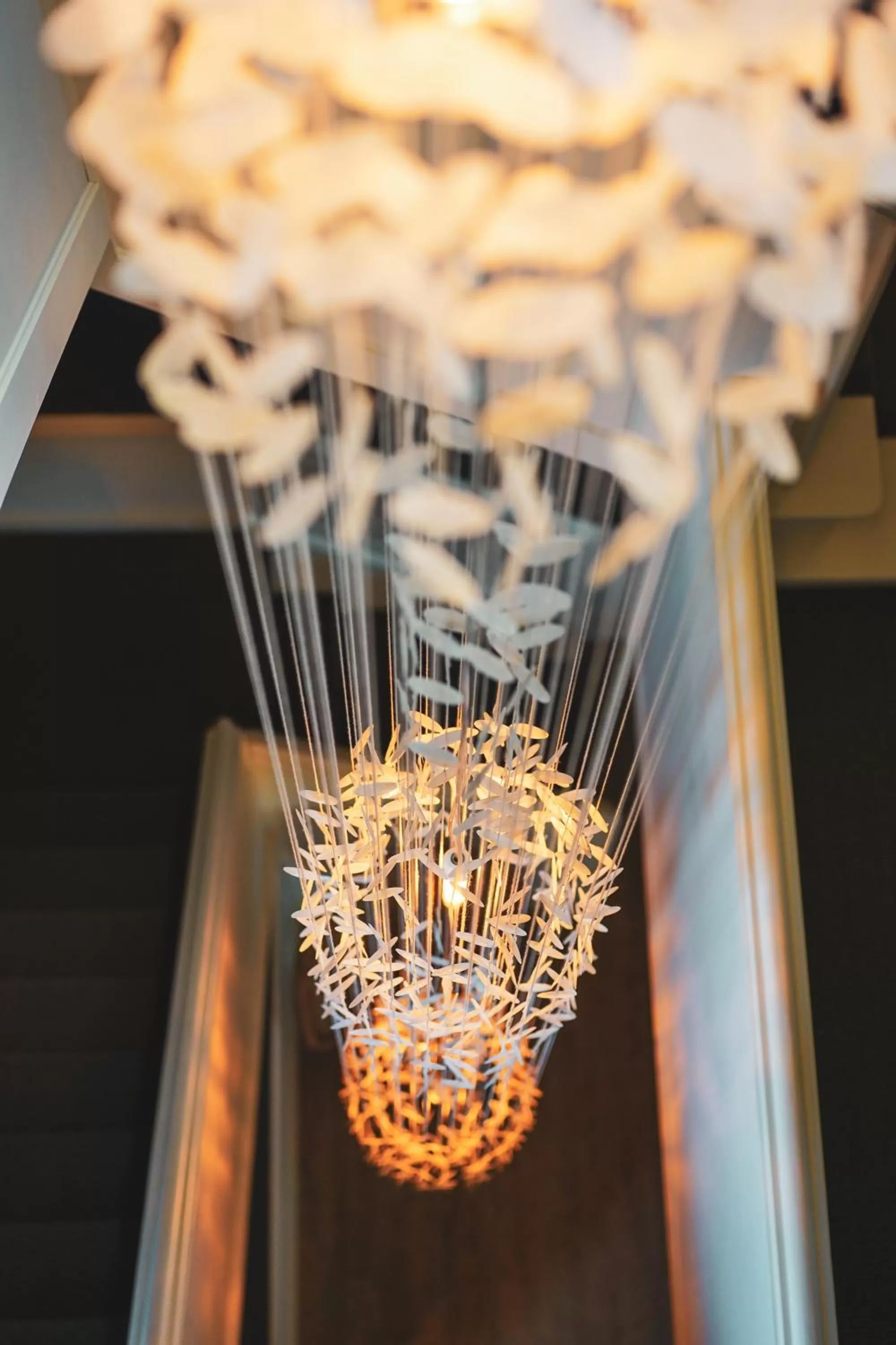 Les Terrasses des Falizes B&B