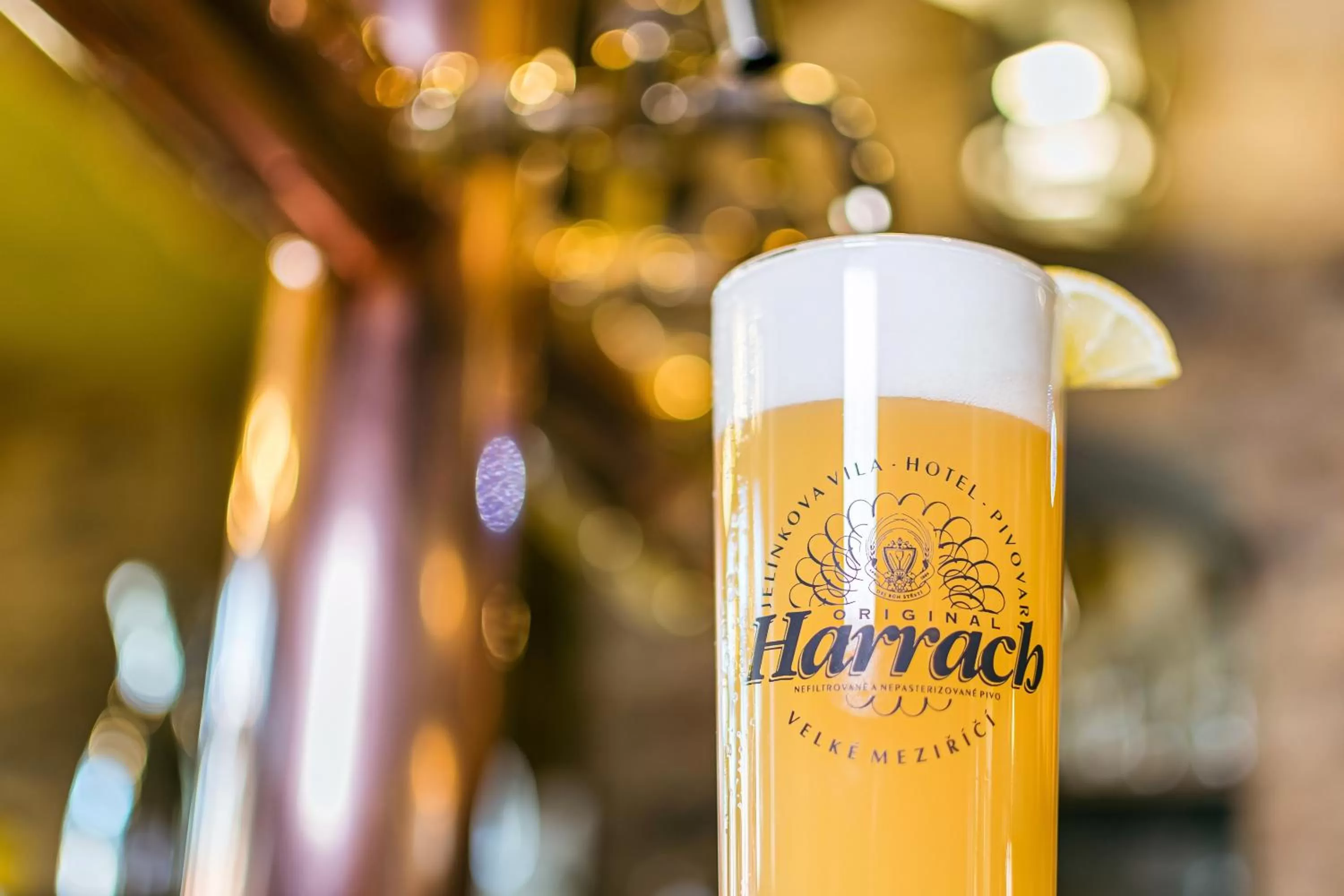 Restaurant/places to eat in Hotel Jelínkova vila