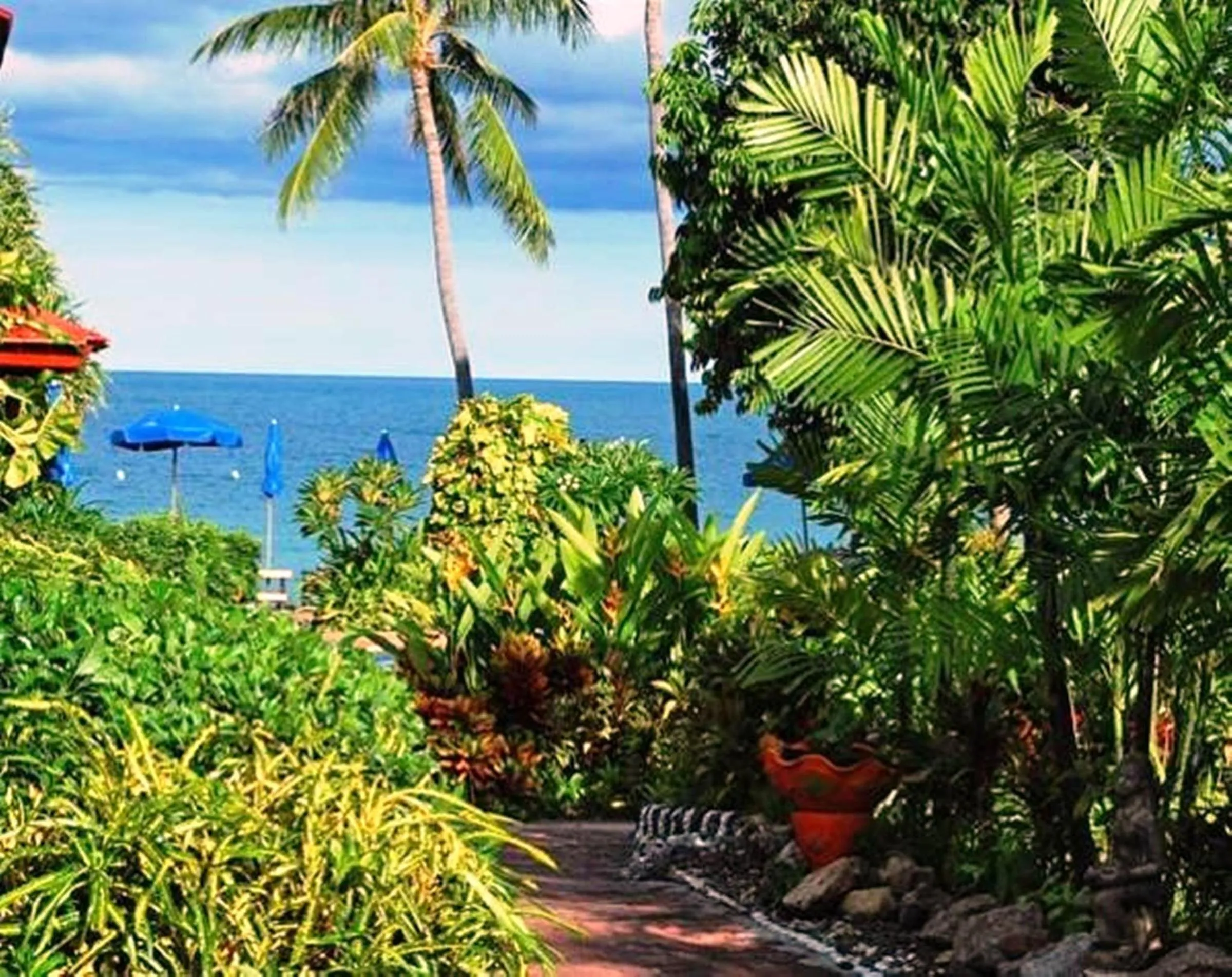 Garden in Chaweng Resort