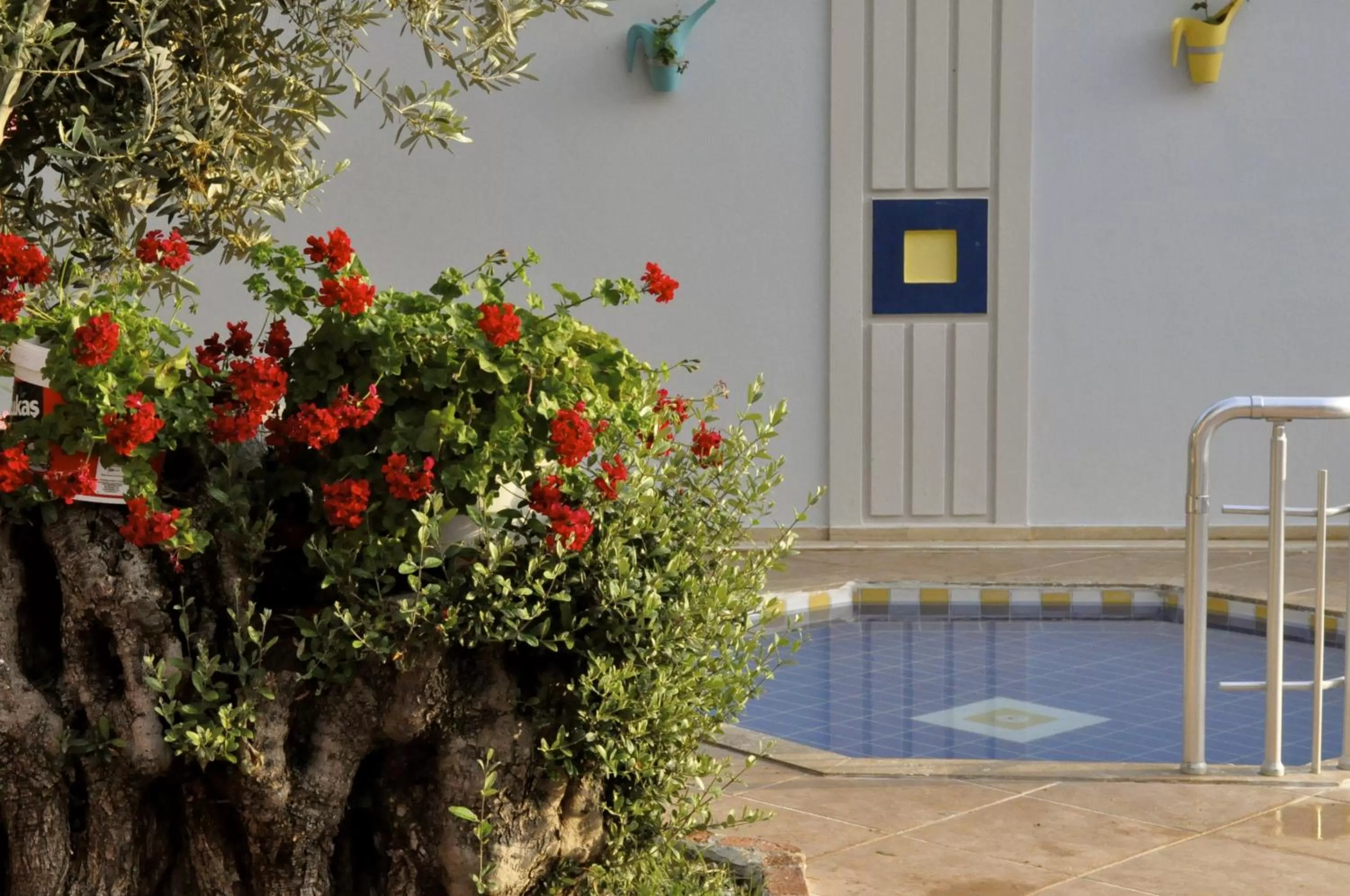 Swimming pool in Magic Tulip Beach Hotel