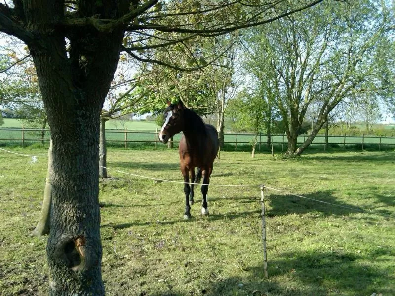 Day in Valley Farmhouse, Westhall