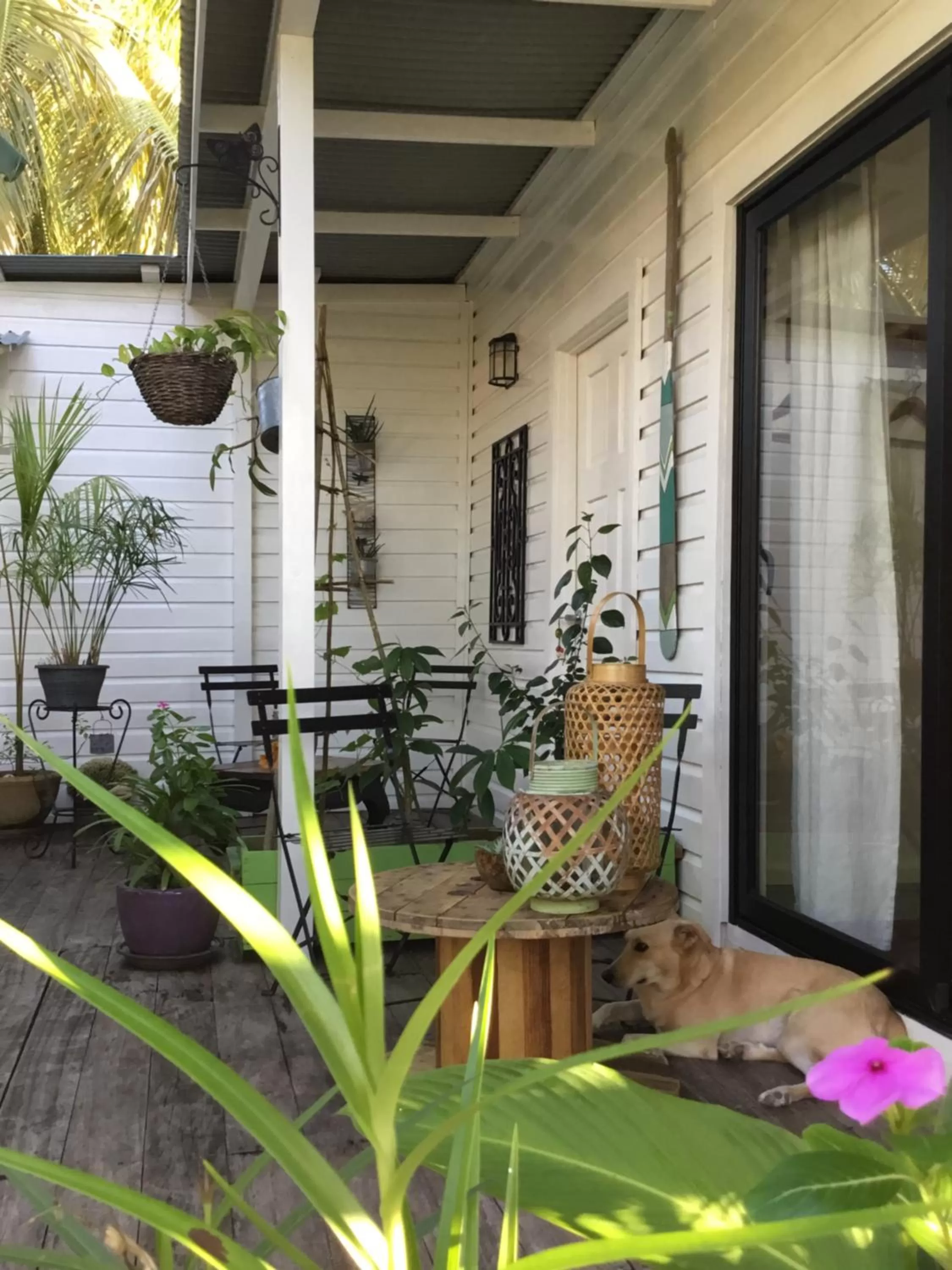 Garden view in RIVA B&B