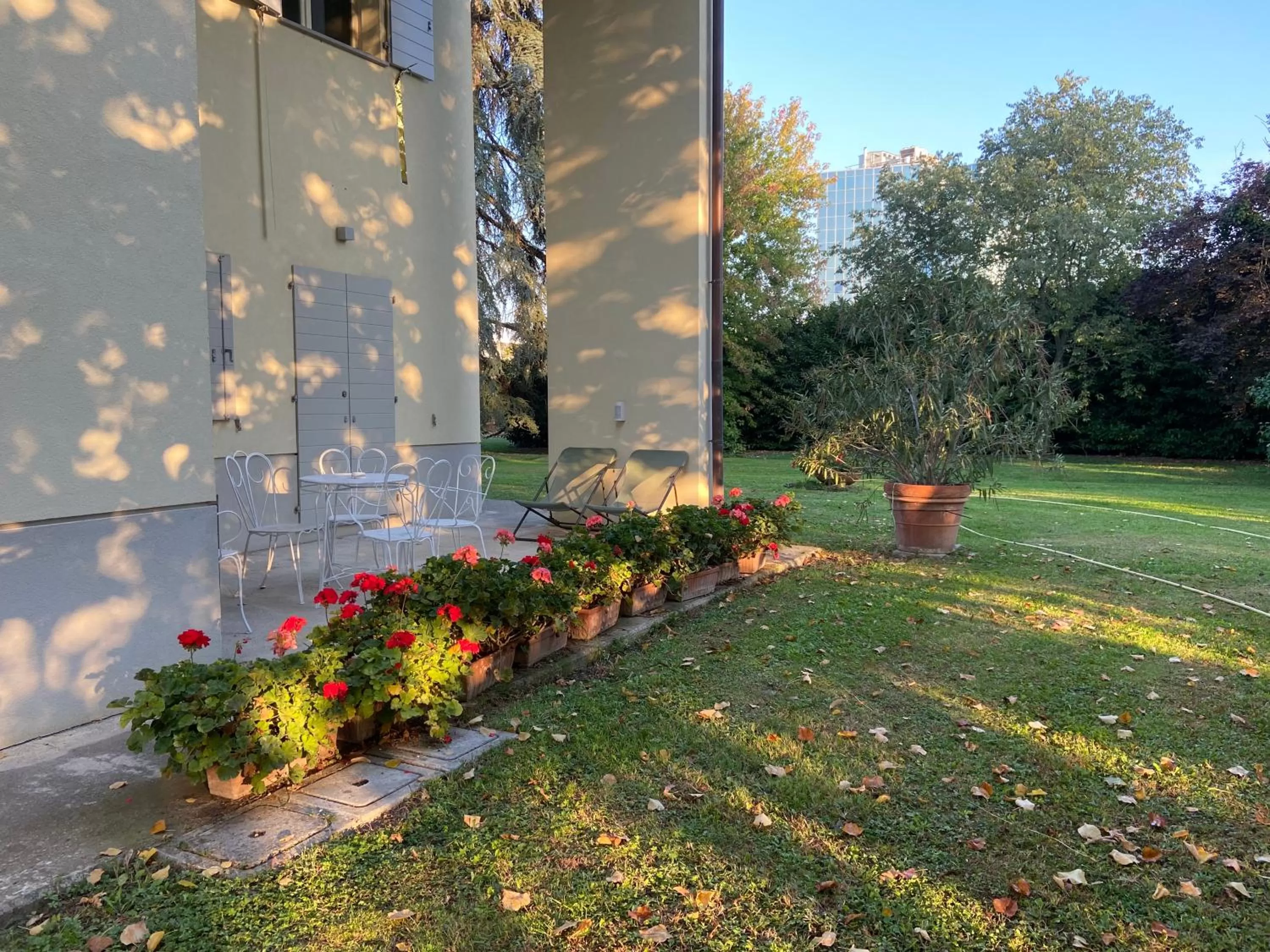 Garden view in Acero Giallo