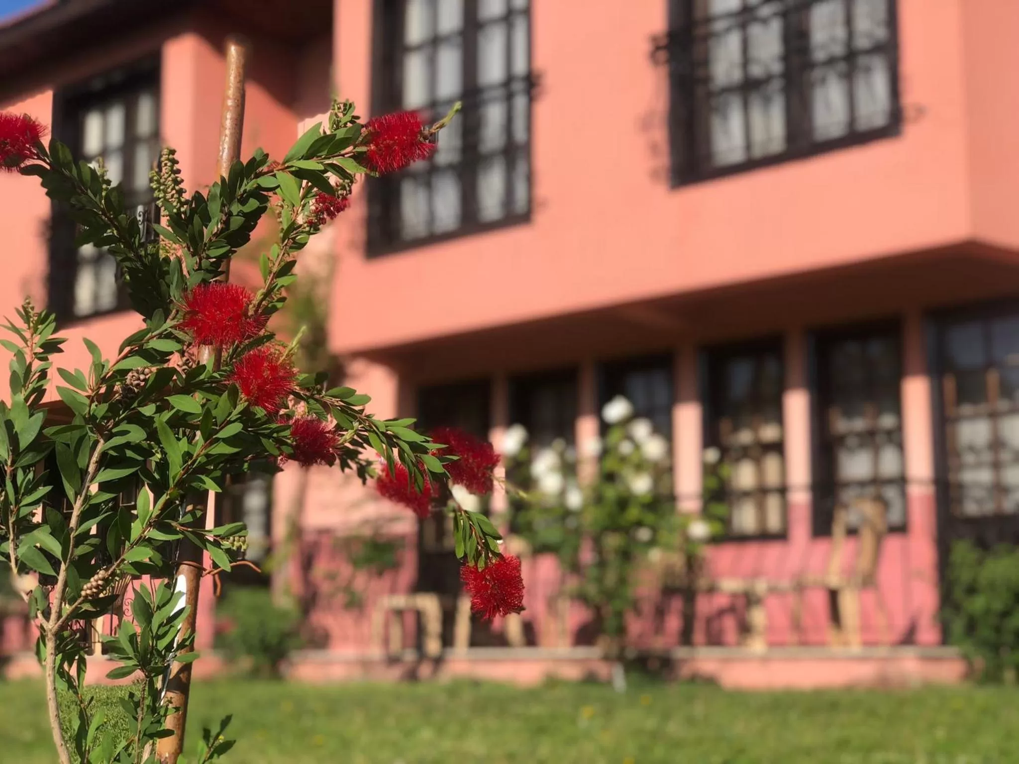 Property building in Hotel Palme Dalyan