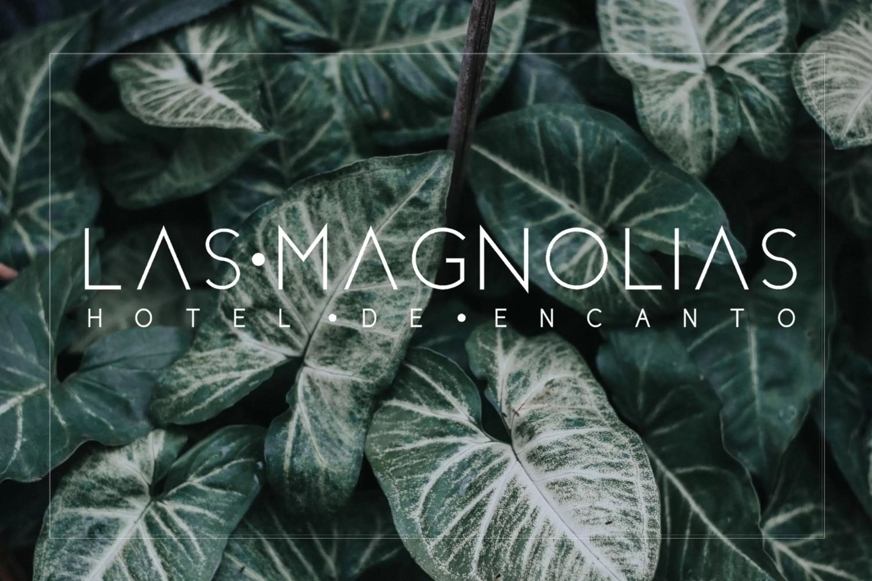 Las Magnolias Hotel Boutique