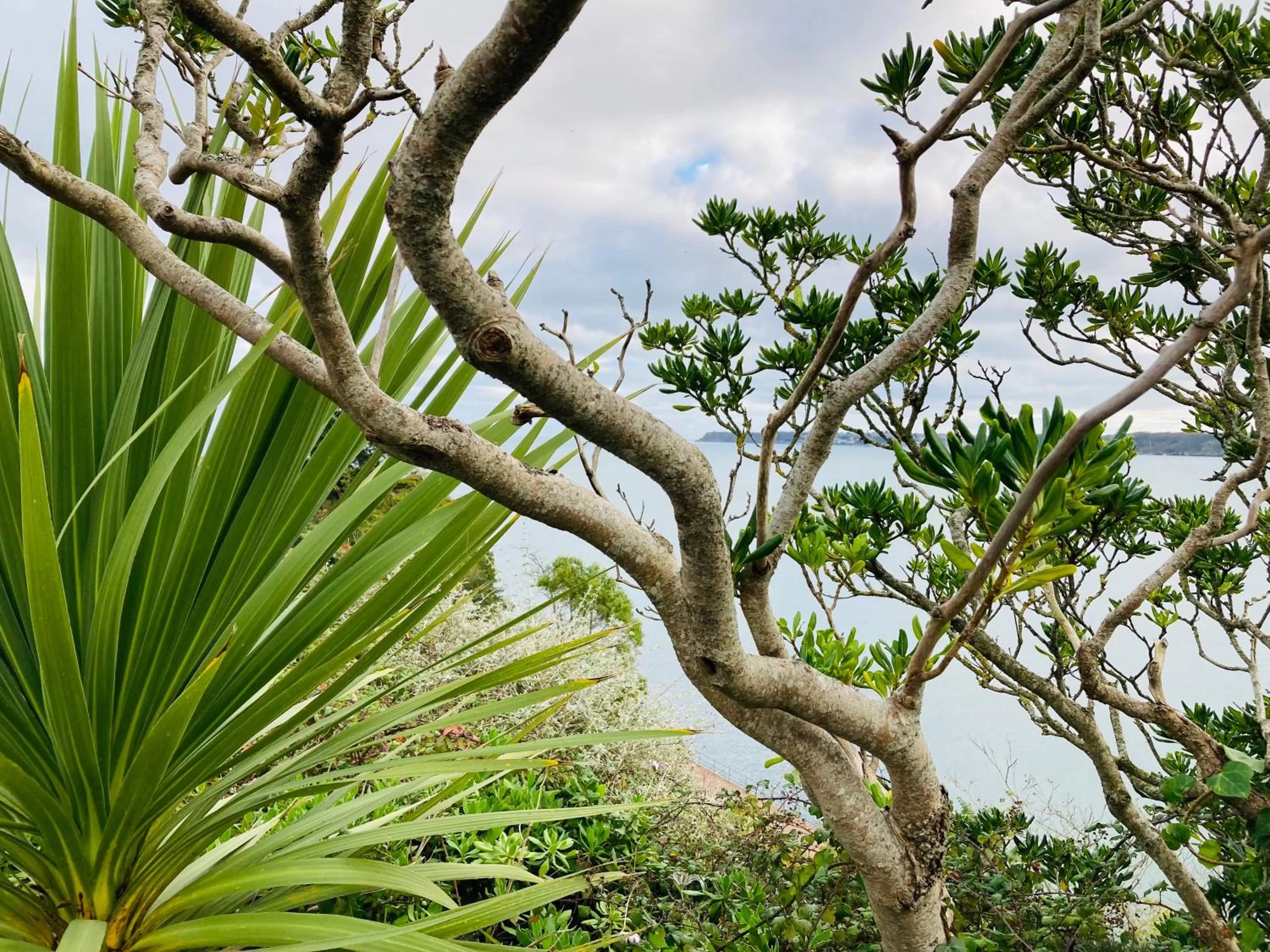 Natural landscape in The Wentworth Guest House