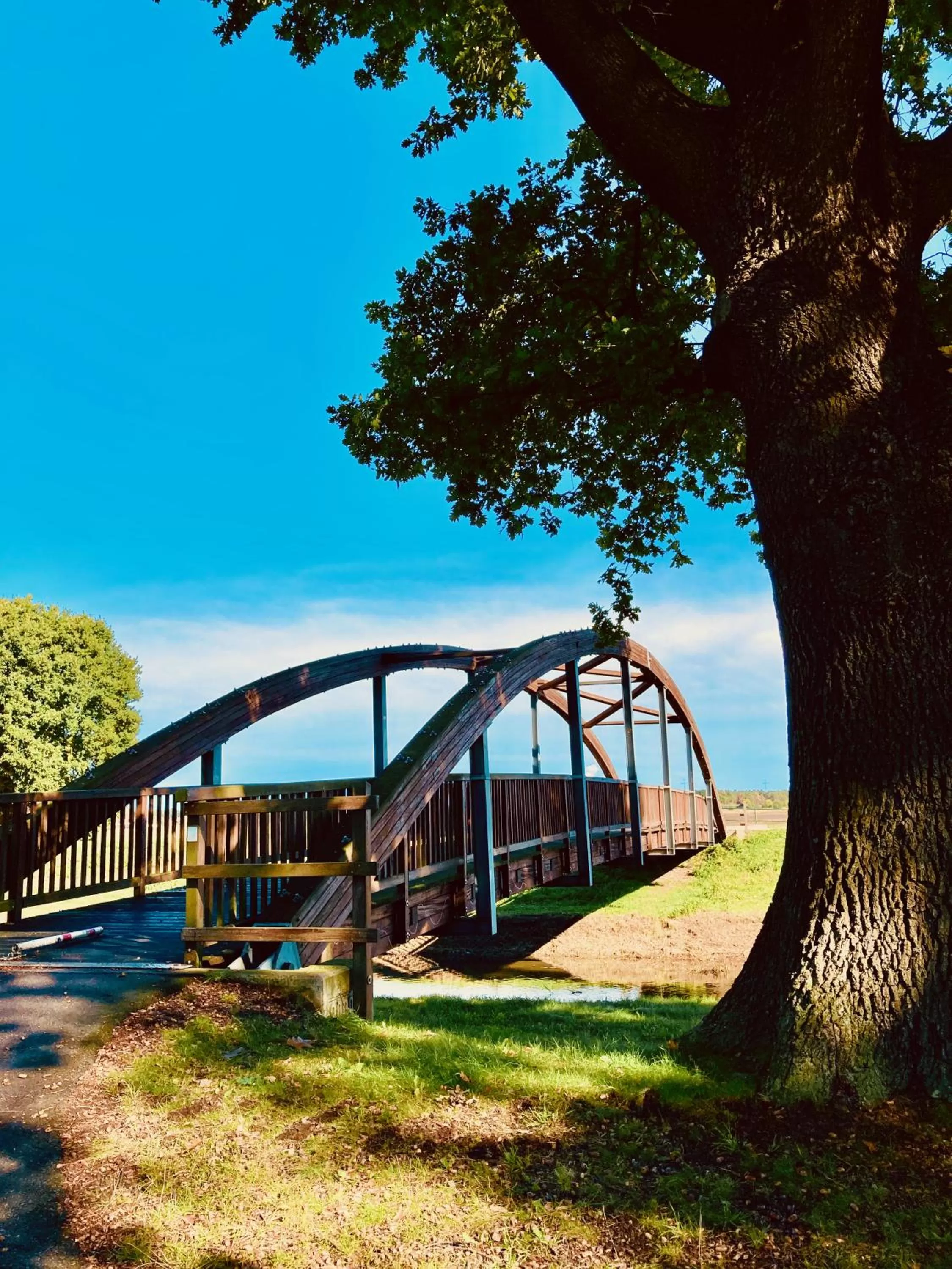 Nearby landmark in Akzent Congresshotel Hoyerswerda
