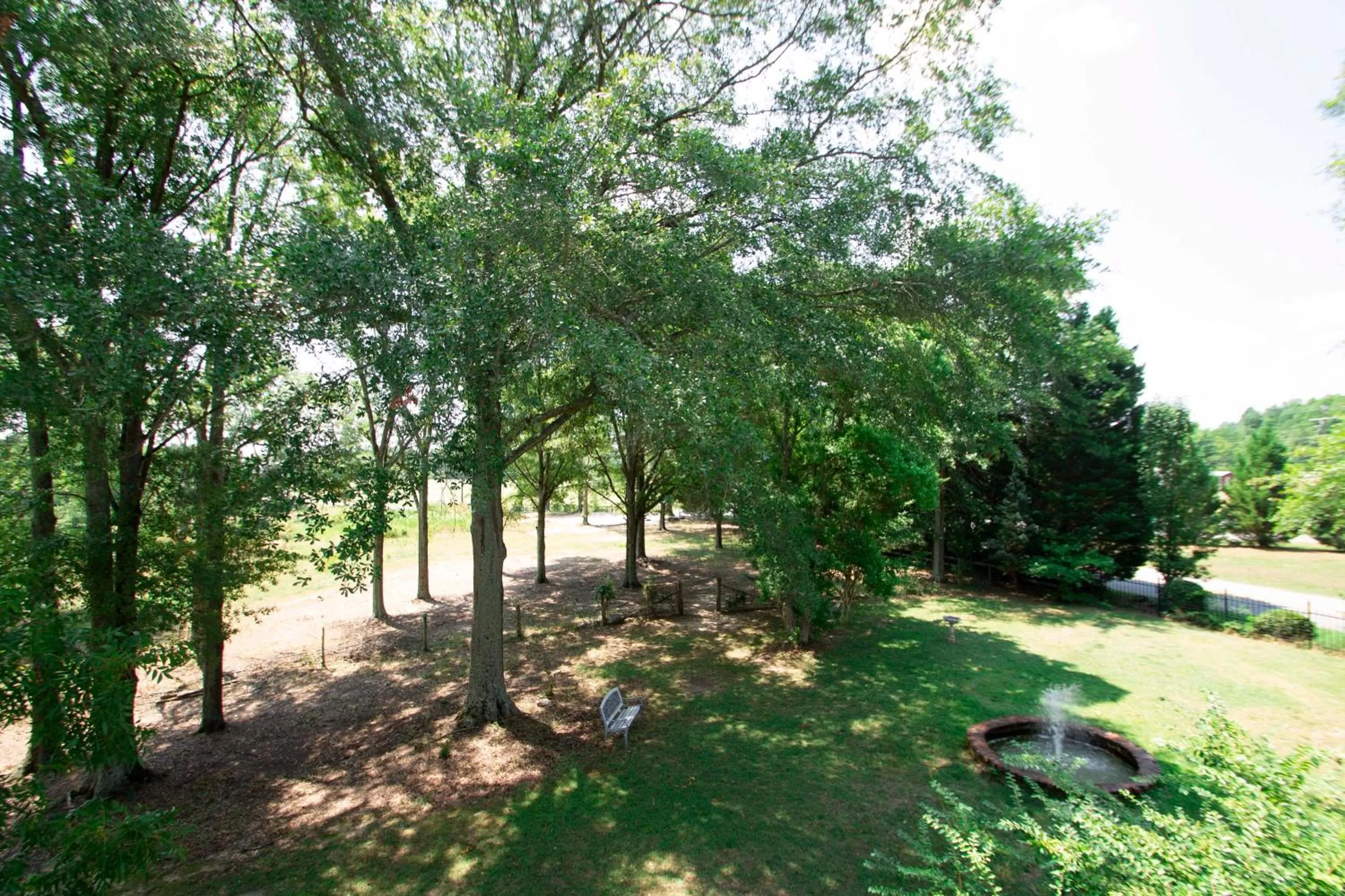 Belton Bed and Breakfast