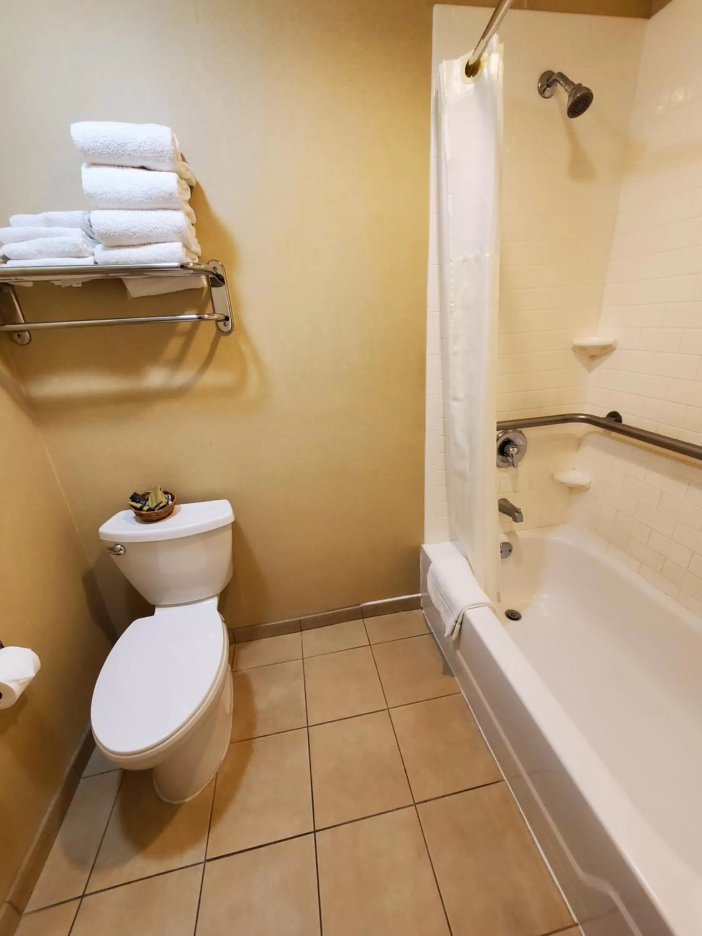 Toilet in Royal Pacific Motor Inn